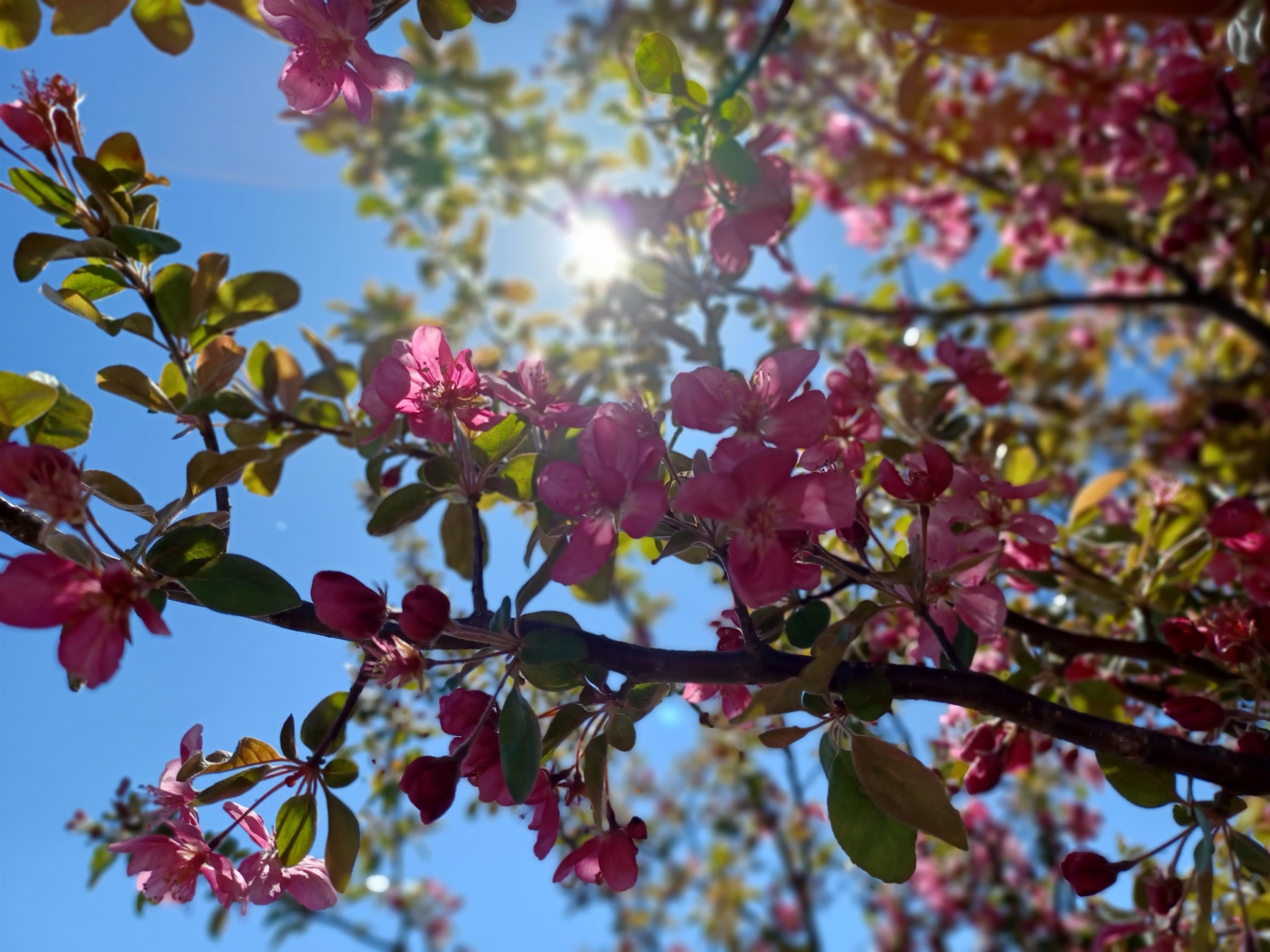 33017 77th Arkansas City KS 67005