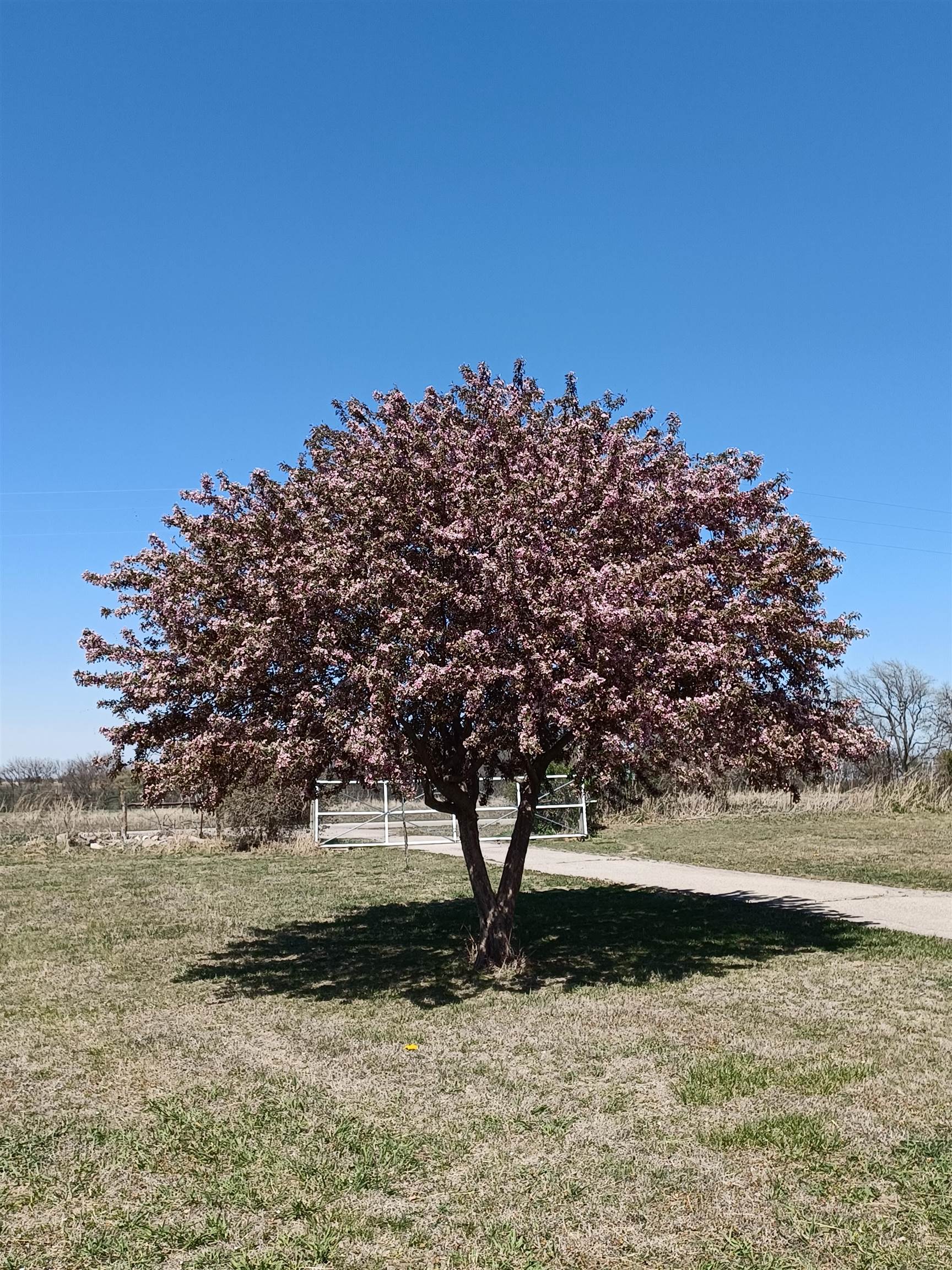 33017 77th Arkansas City KS 67005