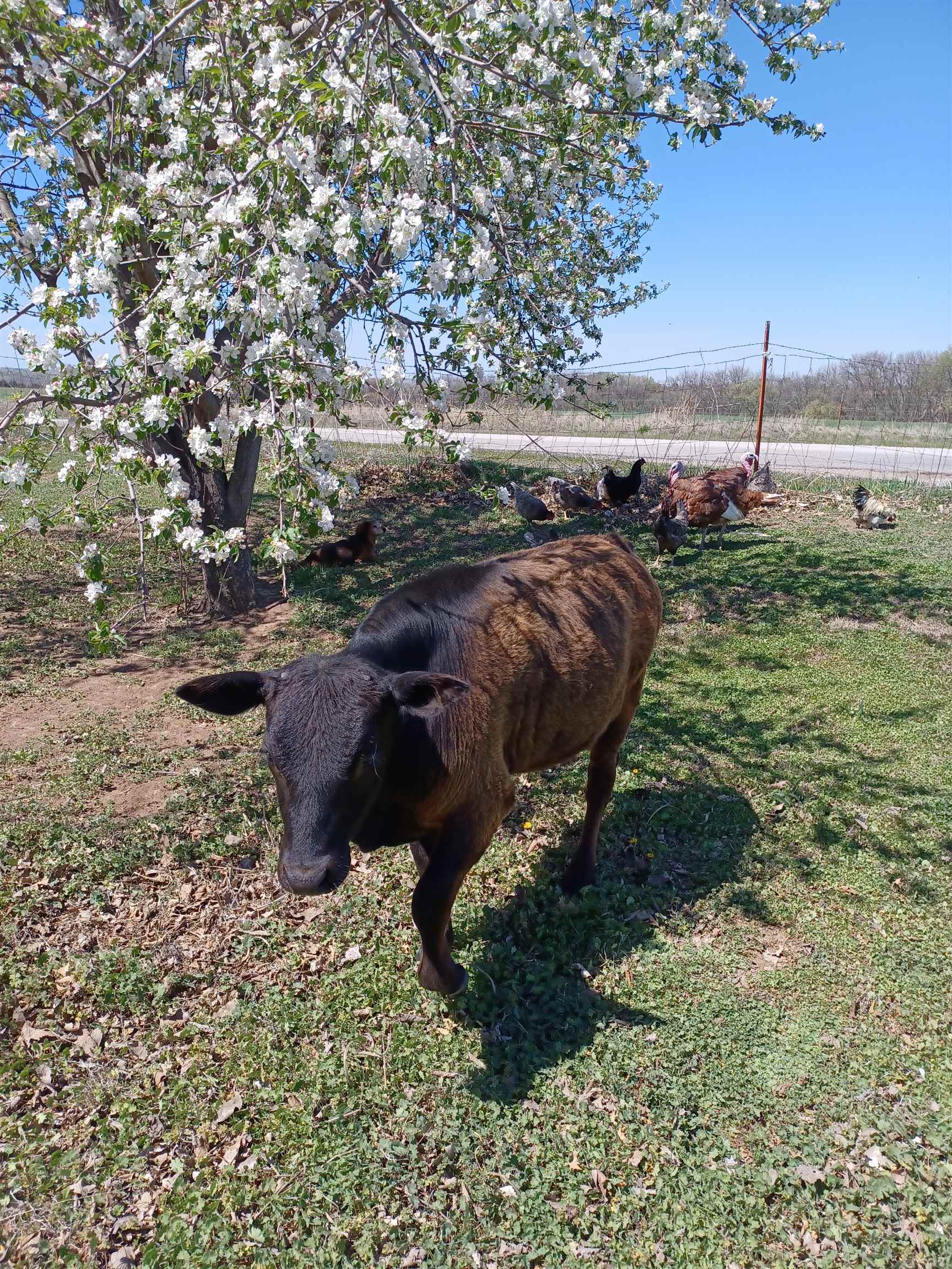 33017 77th Arkansas City KS 67005