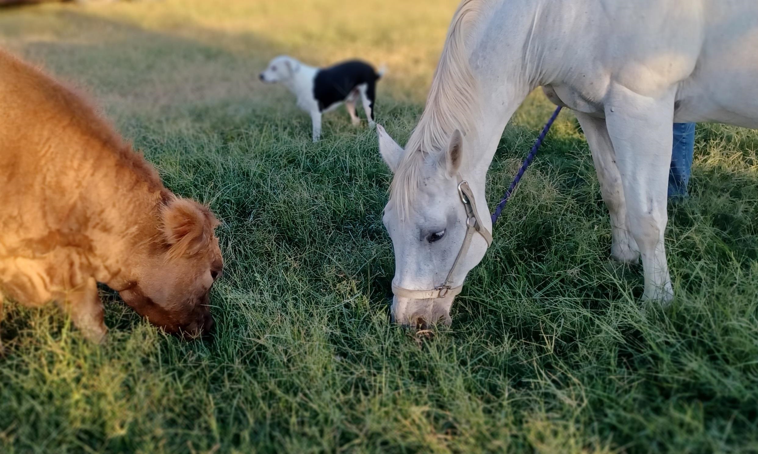 33017 77th Arkansas City KS 67005