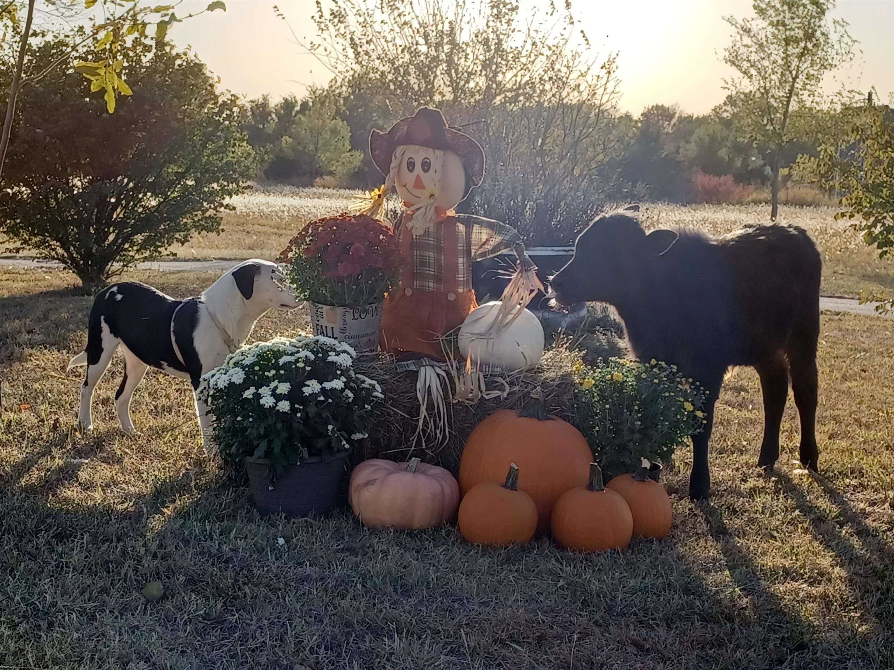 33017 77th Arkansas City KS 67005