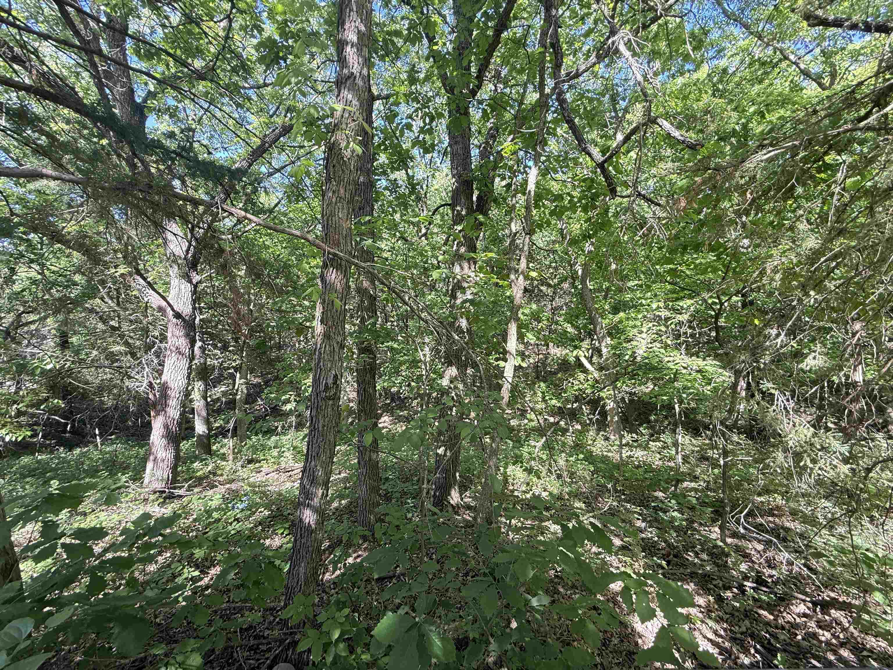 7086 Mill Cove Drive Manhattan KS 66503