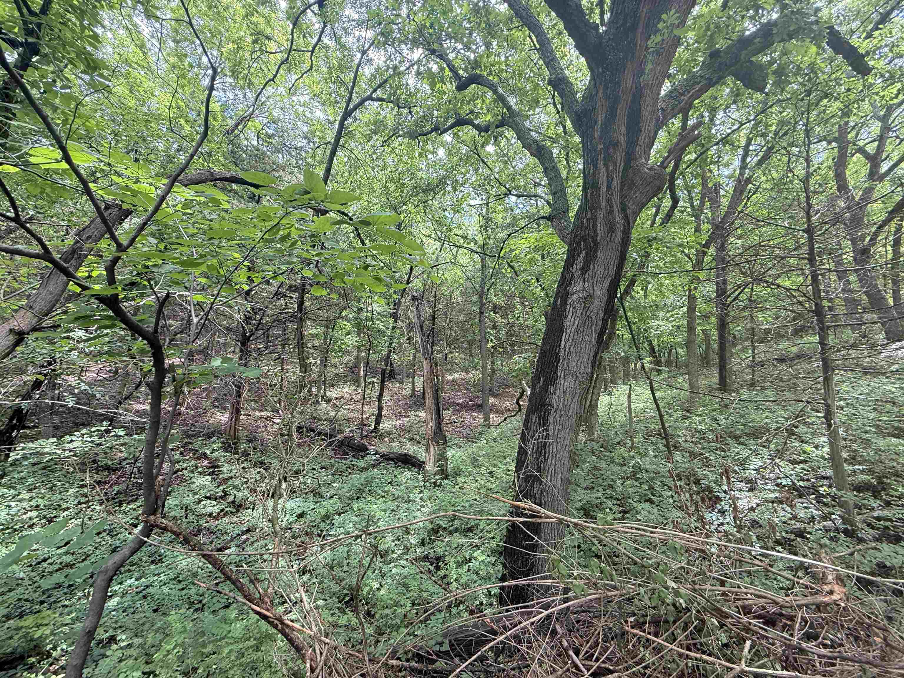 7086 Mill Cove Drive Manhattan KS 66503