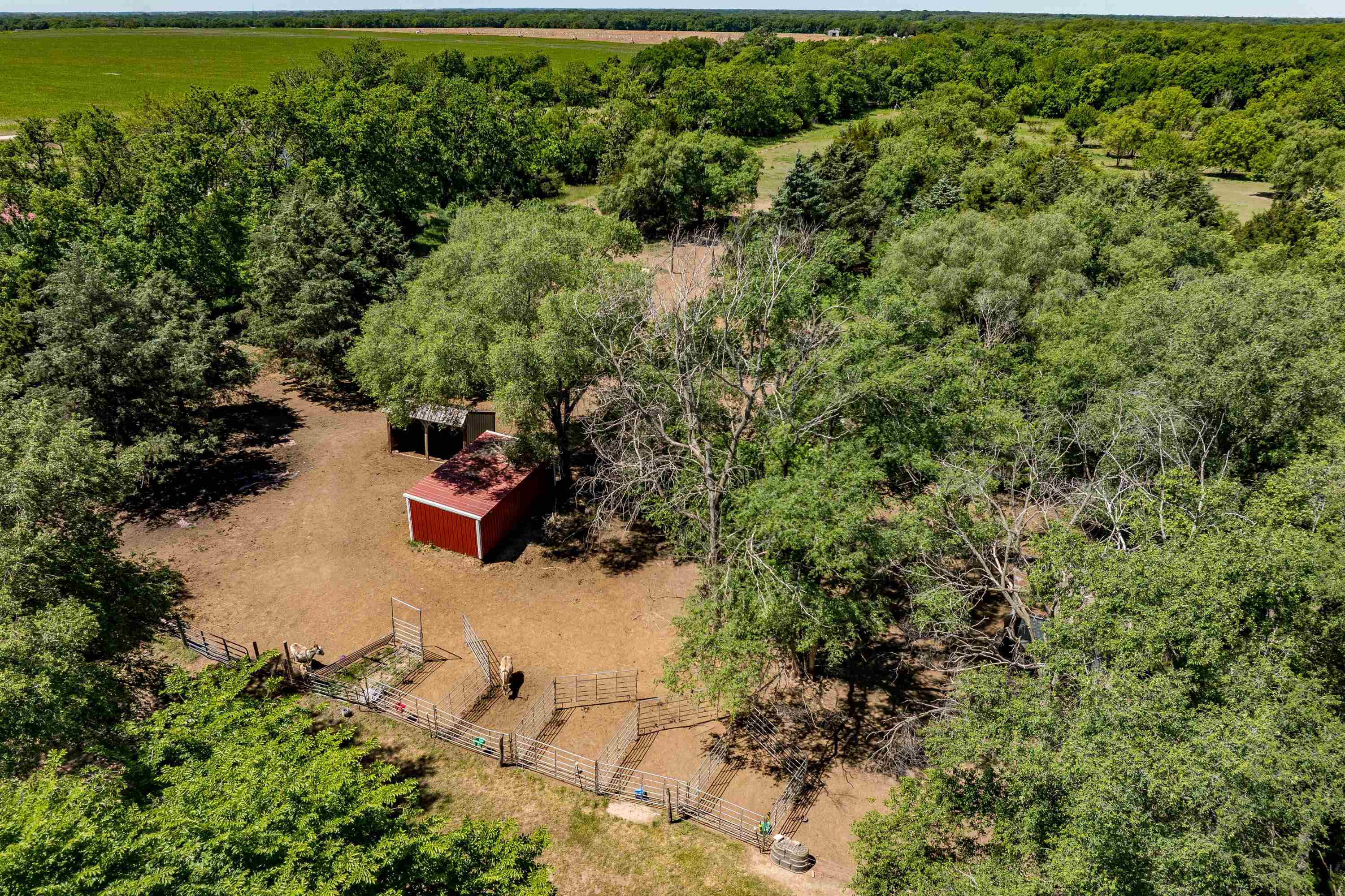 1403 N Webb Road Mulvane KS 67110