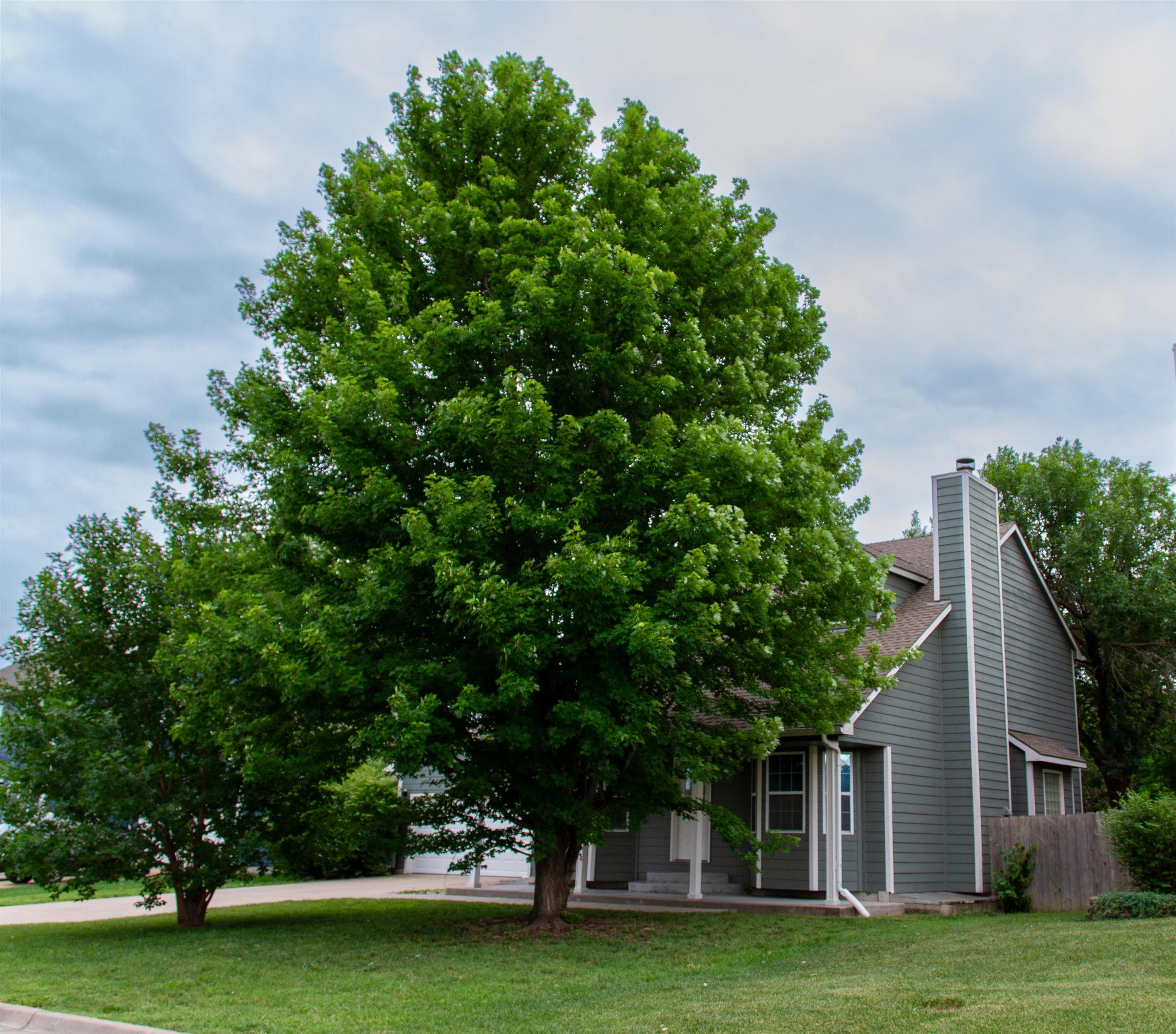 5515 E Pembrook Wichita KS 67220