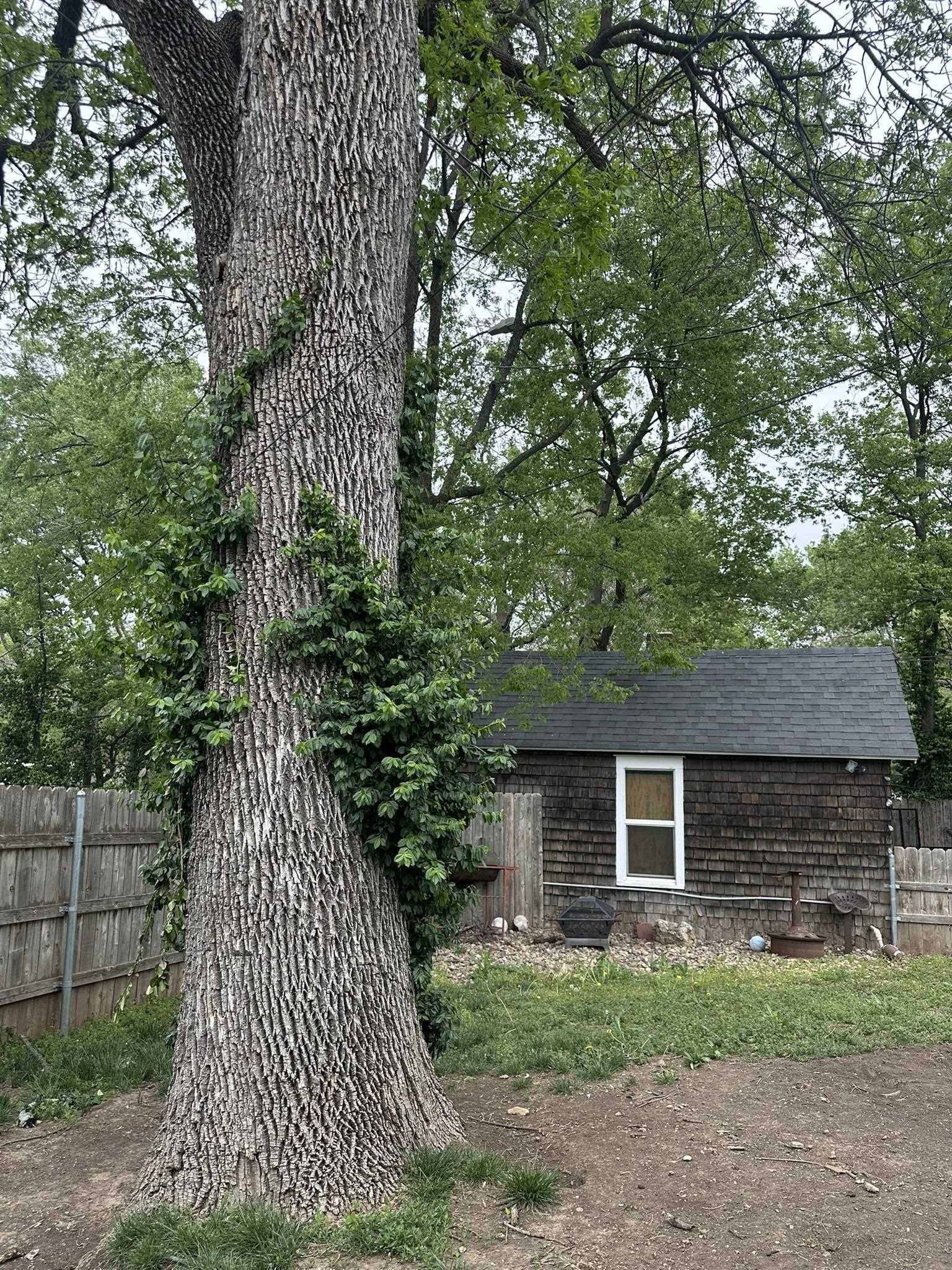 1110 N State Street Augusta KS 67010