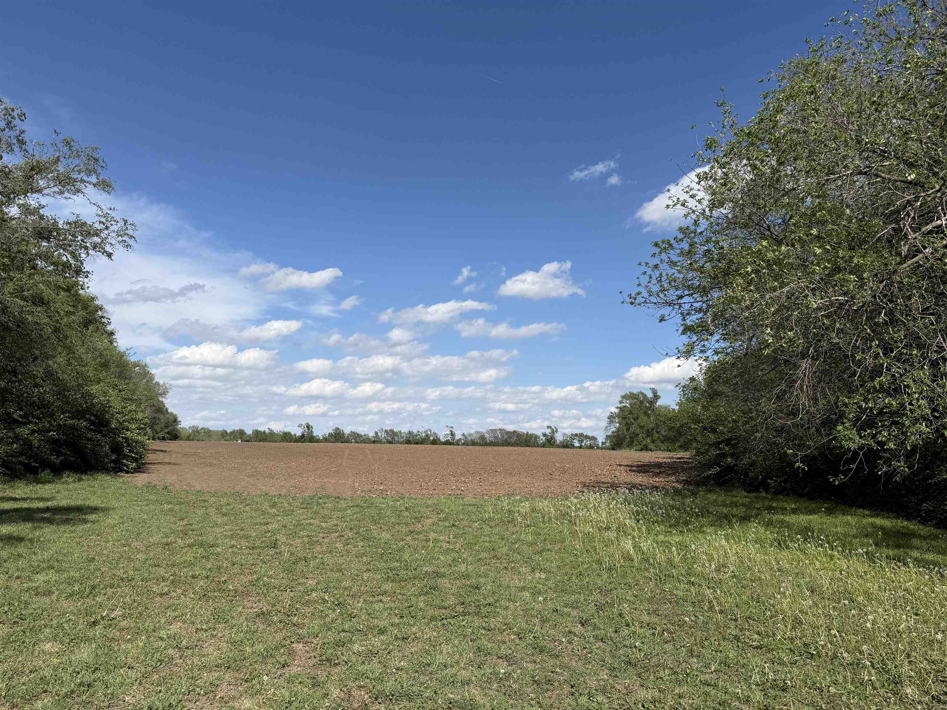 9460 W 79th Street S Clearwater KS 67026