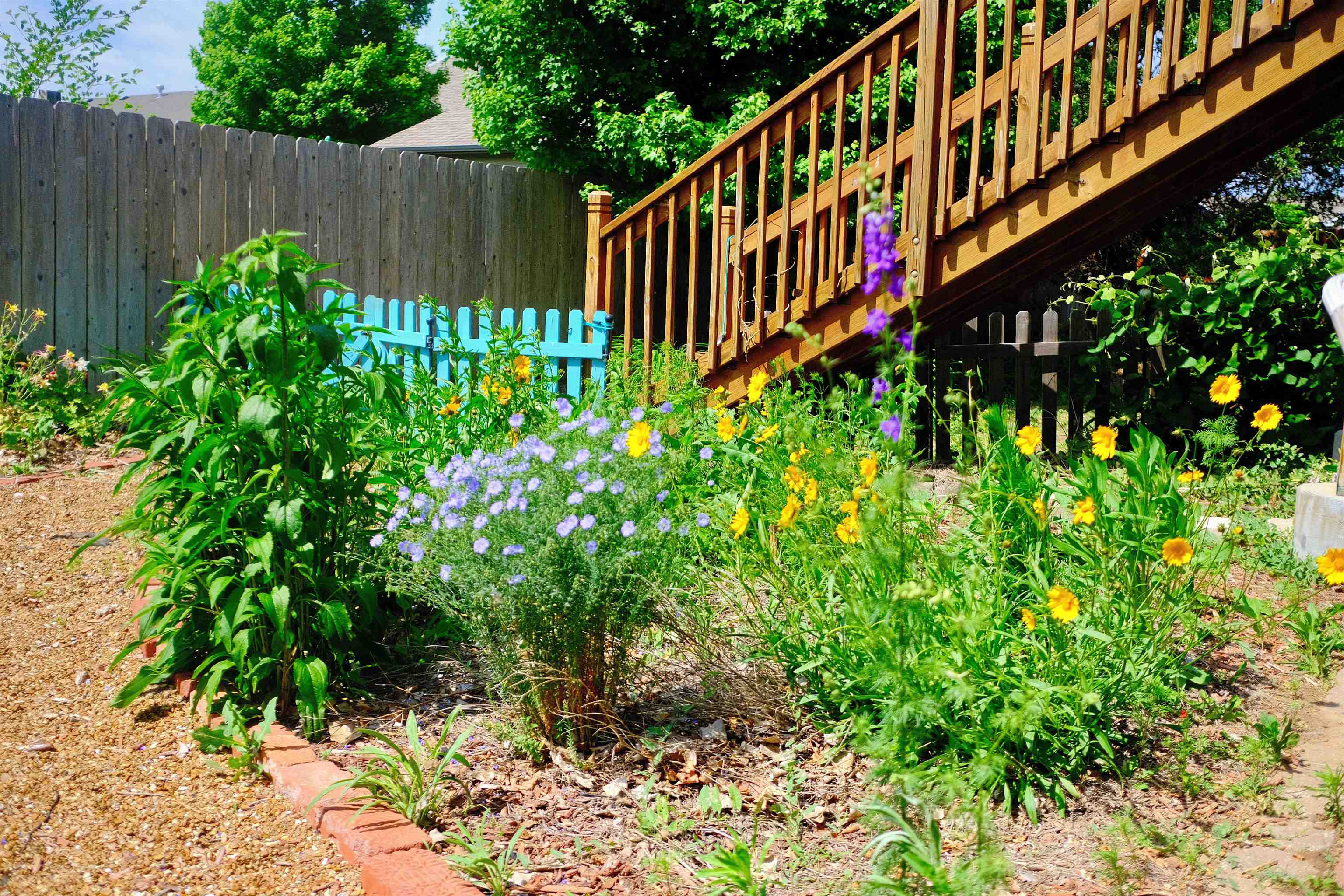 2307 E Saint Andrew Street Goddard KS 67052