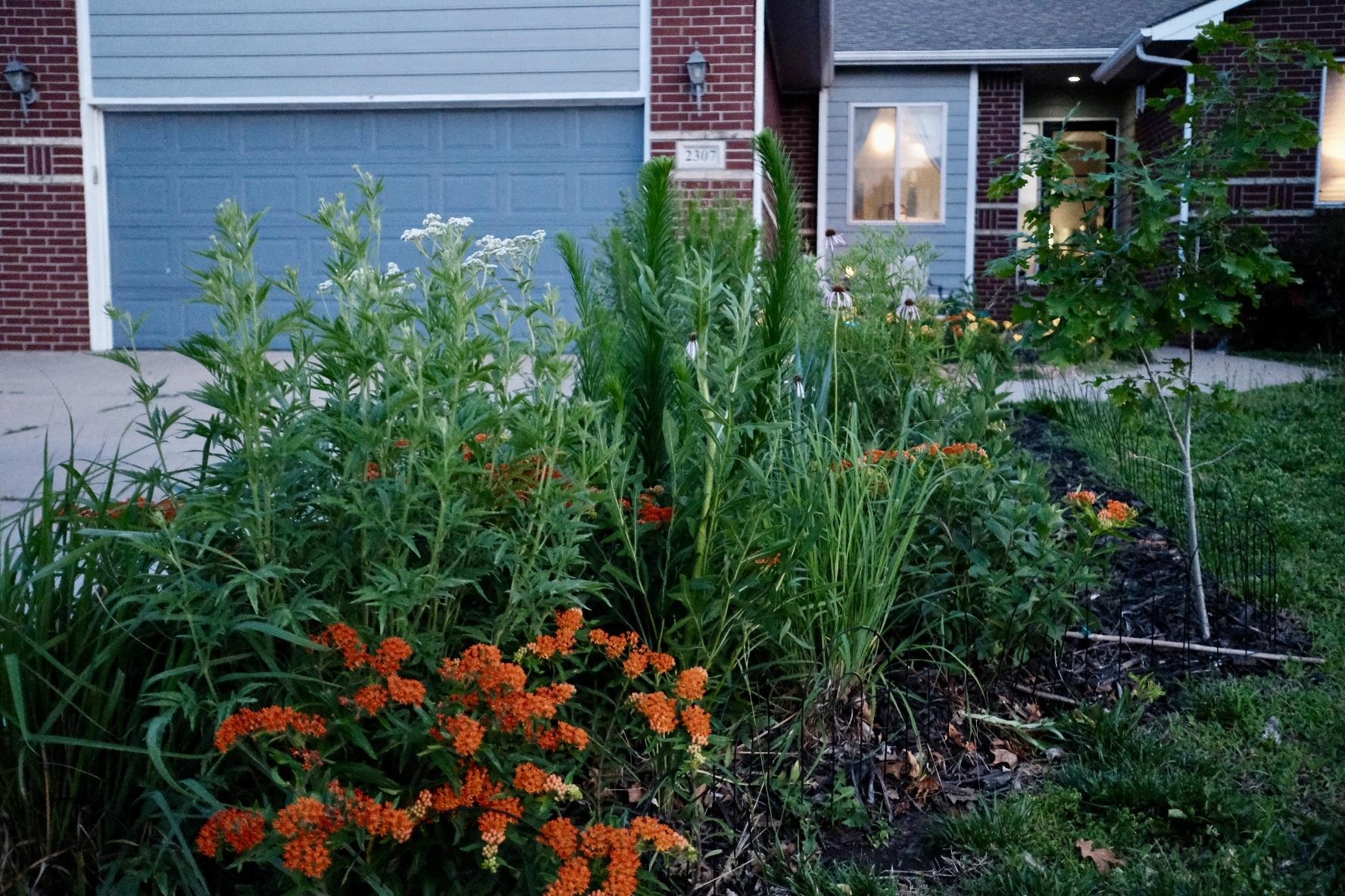 2307 E Saint Andrew Street Goddard KS 67052