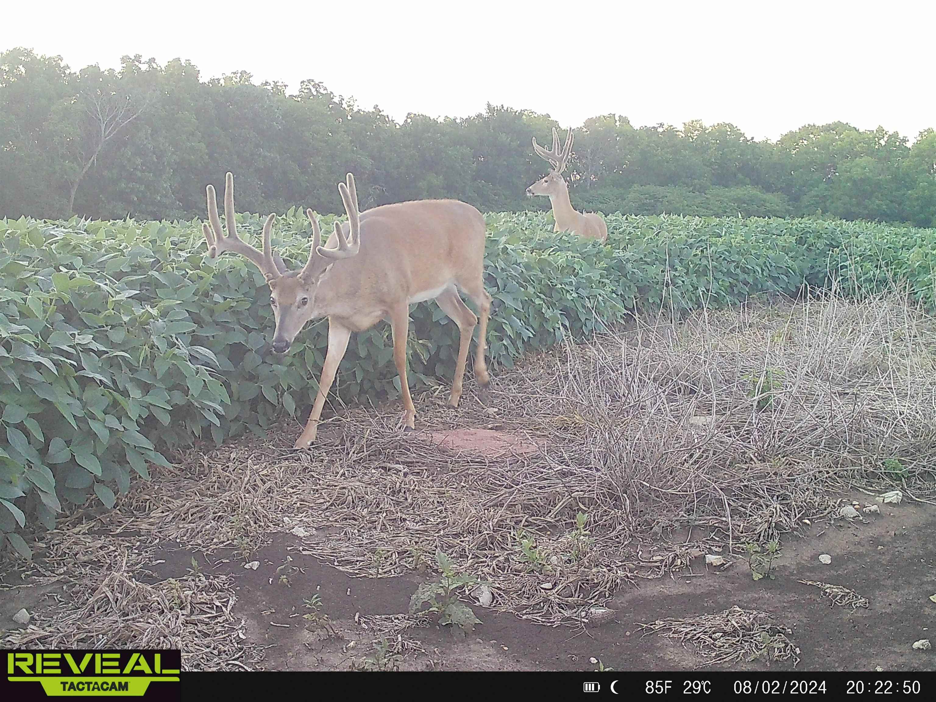 10594 86th St - Tract 1 Oskaloosa KS 66066