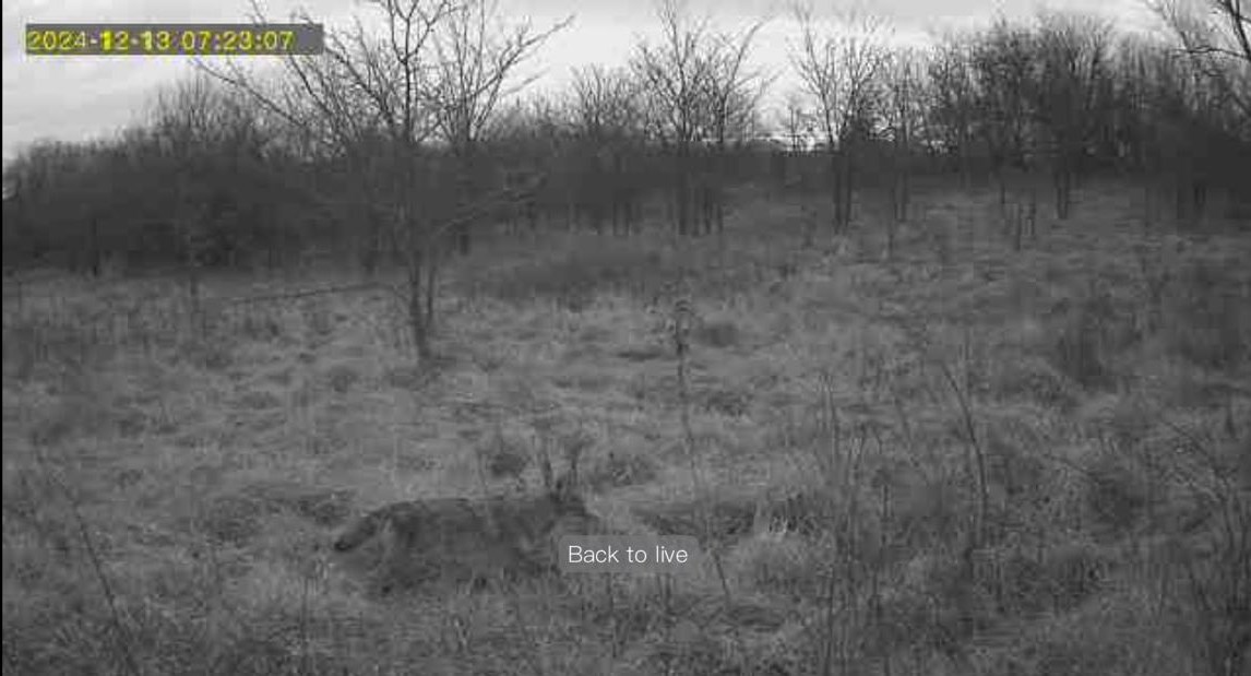 94 E 1600 Road Baldwin City KS 66006