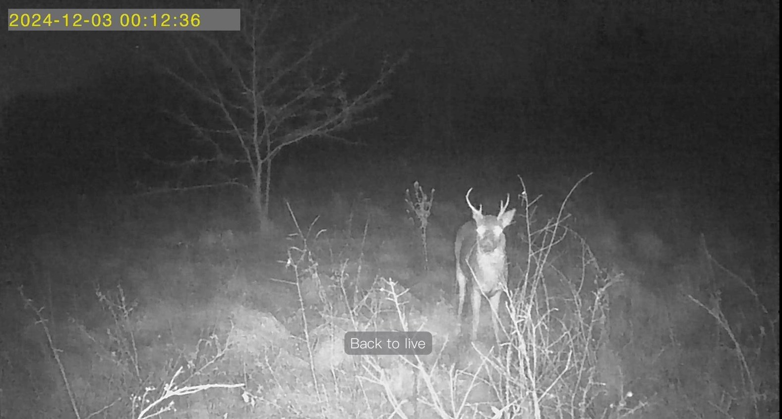 94 E 1600 Road Baldwin City KS 66006