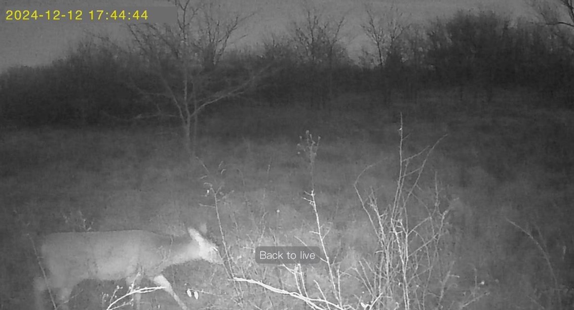 94 E 1600 Road Baldwin City KS 66006