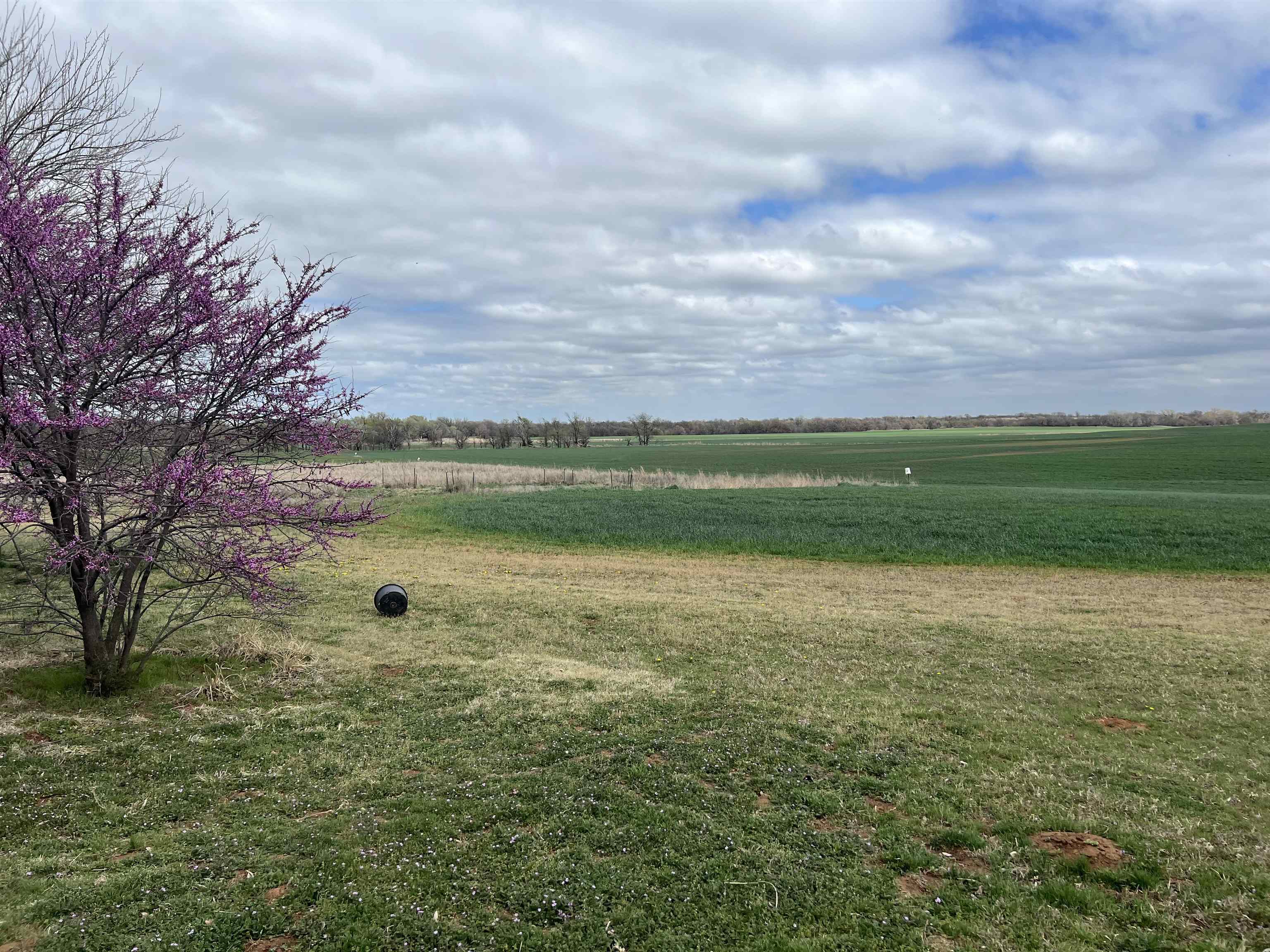 521 Central Avenue Bluff City KS 67018