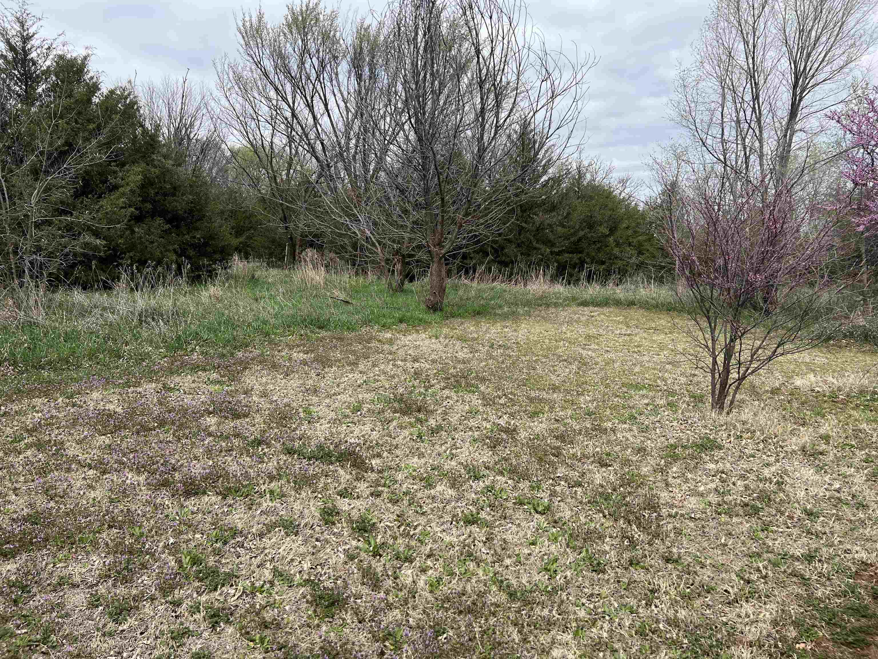 521 Central Avenue Bluff City KS 67018