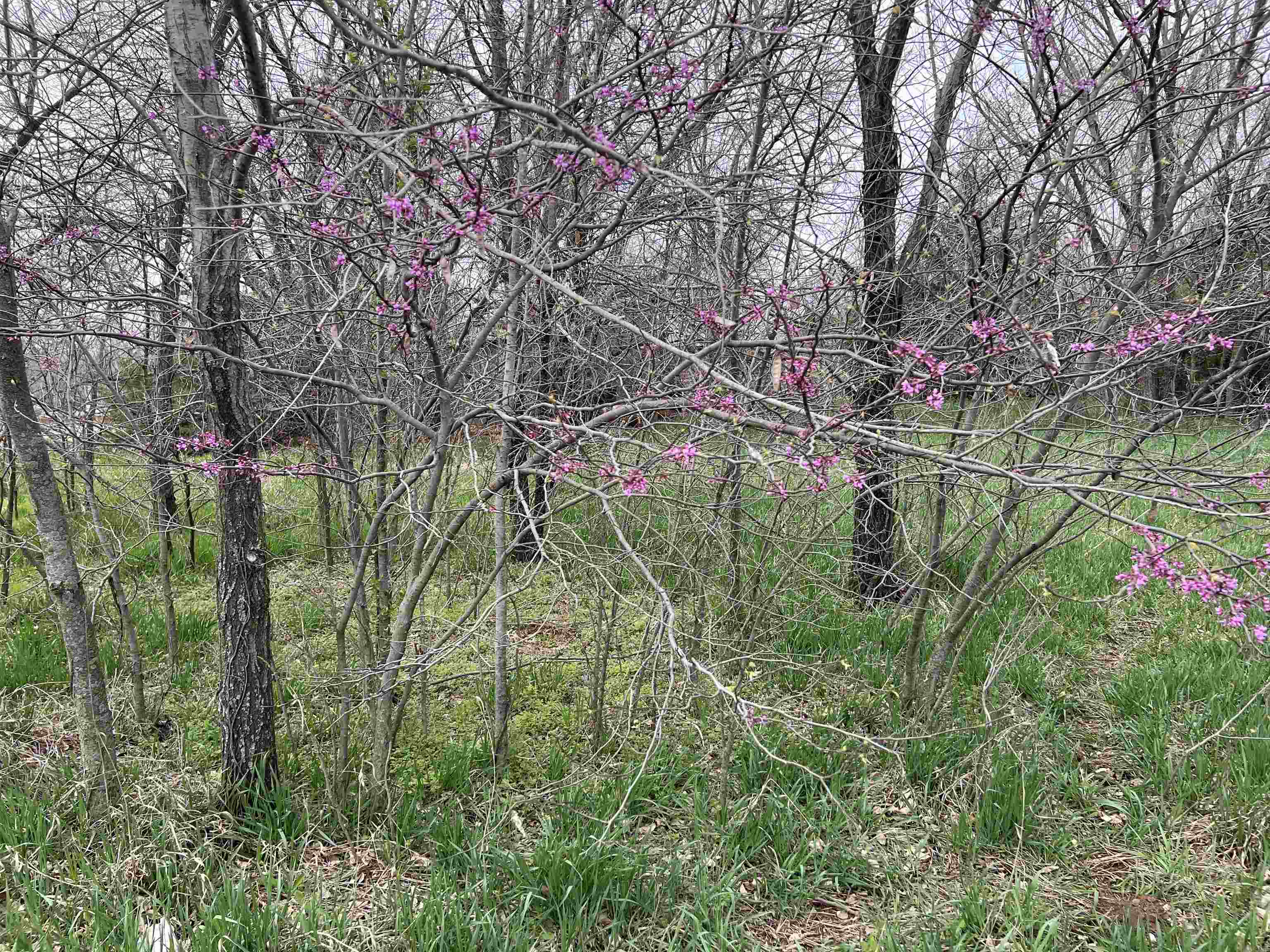 521 Central Avenue Bluff City KS 67018