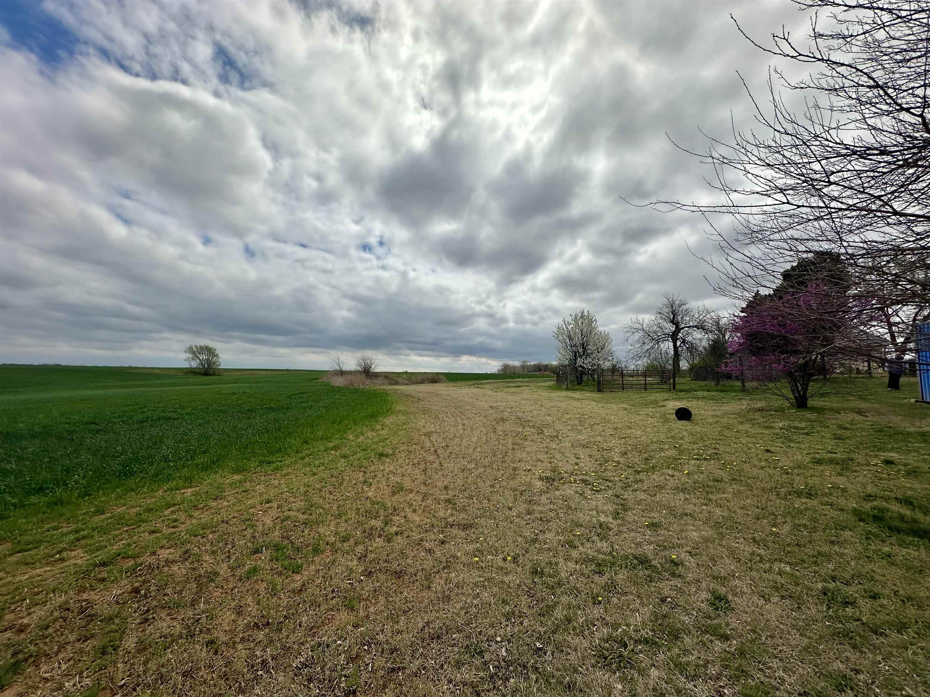 521 Central Avenue Bluff City KS 67018