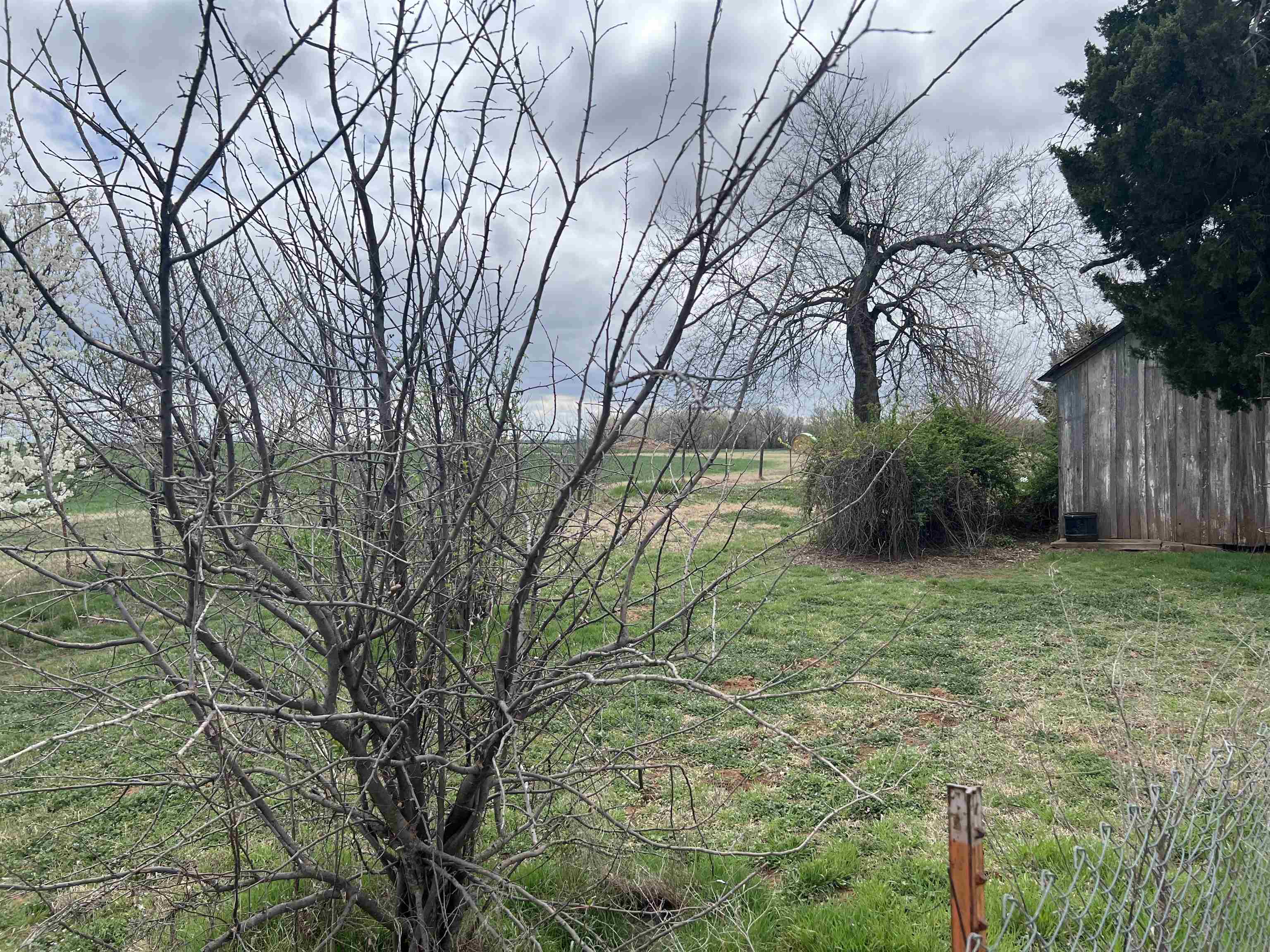 521 Central Avenue Bluff City KS 67018