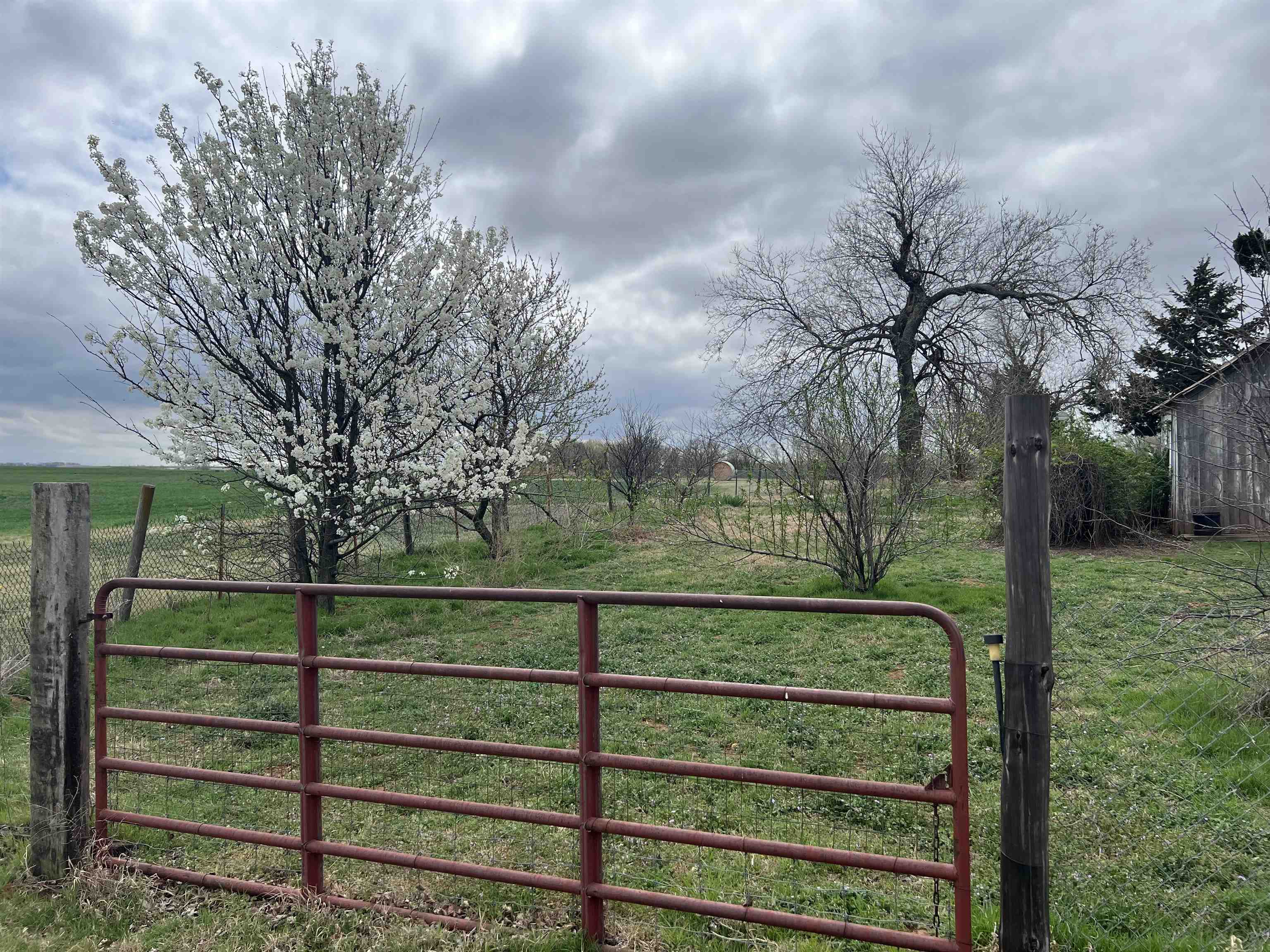 521 Central Avenue Bluff City KS 67018