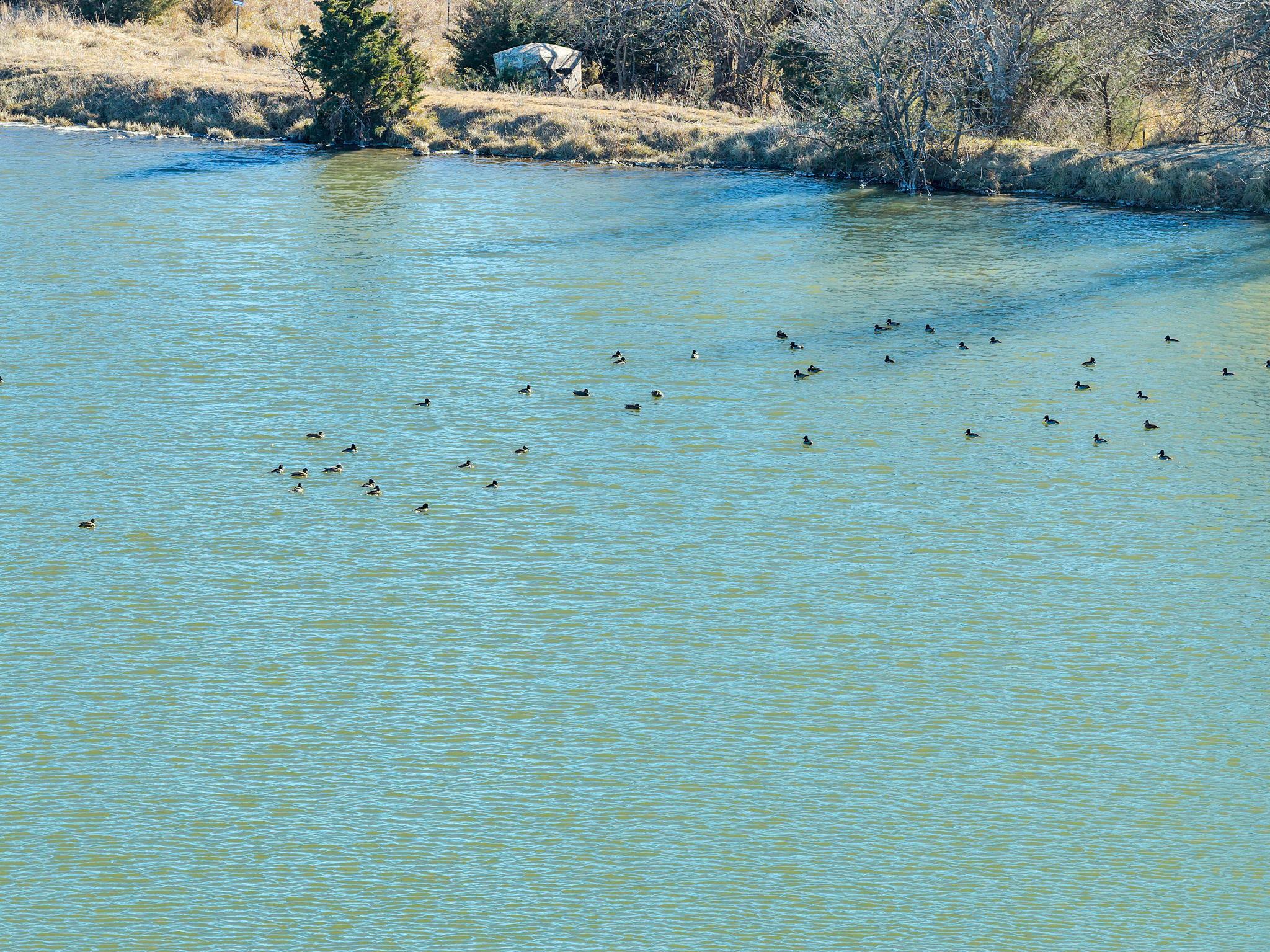 6431 NW 50th Street El Dorado KS 67042