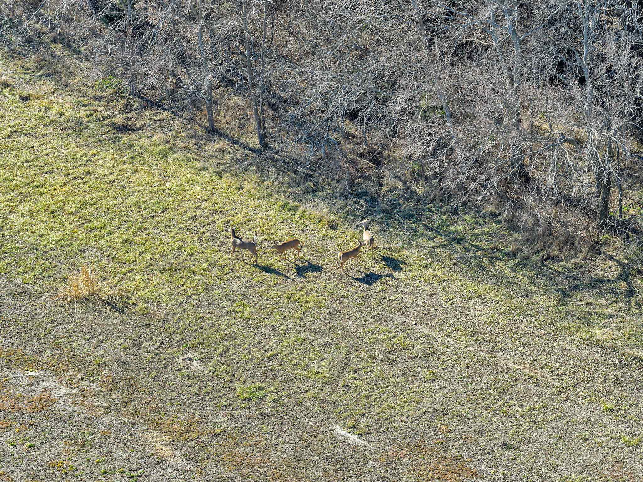 6431 NW 50th Street El Dorado KS 67042