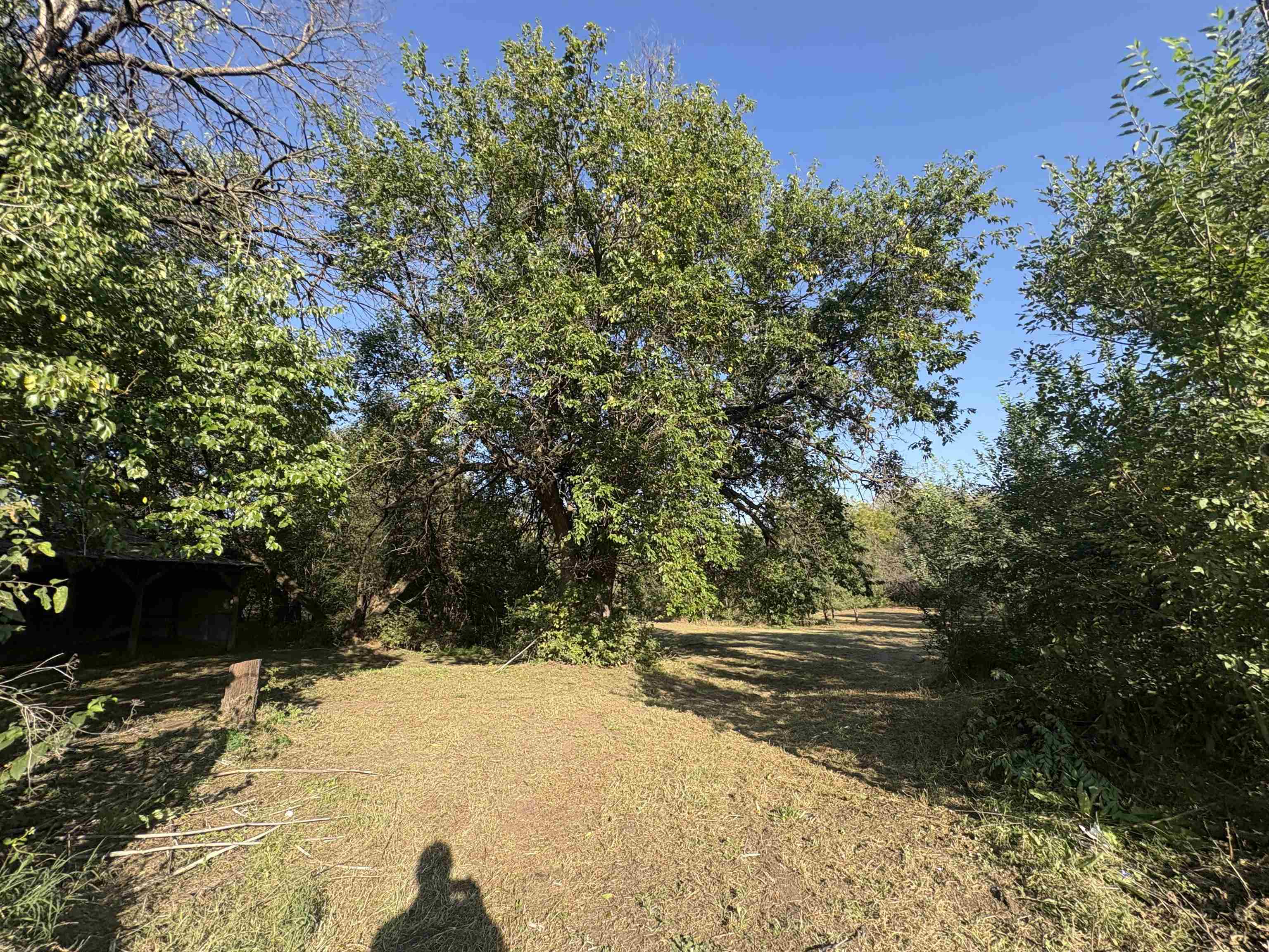9810 S Ridge Road Sedgwick KS 67135