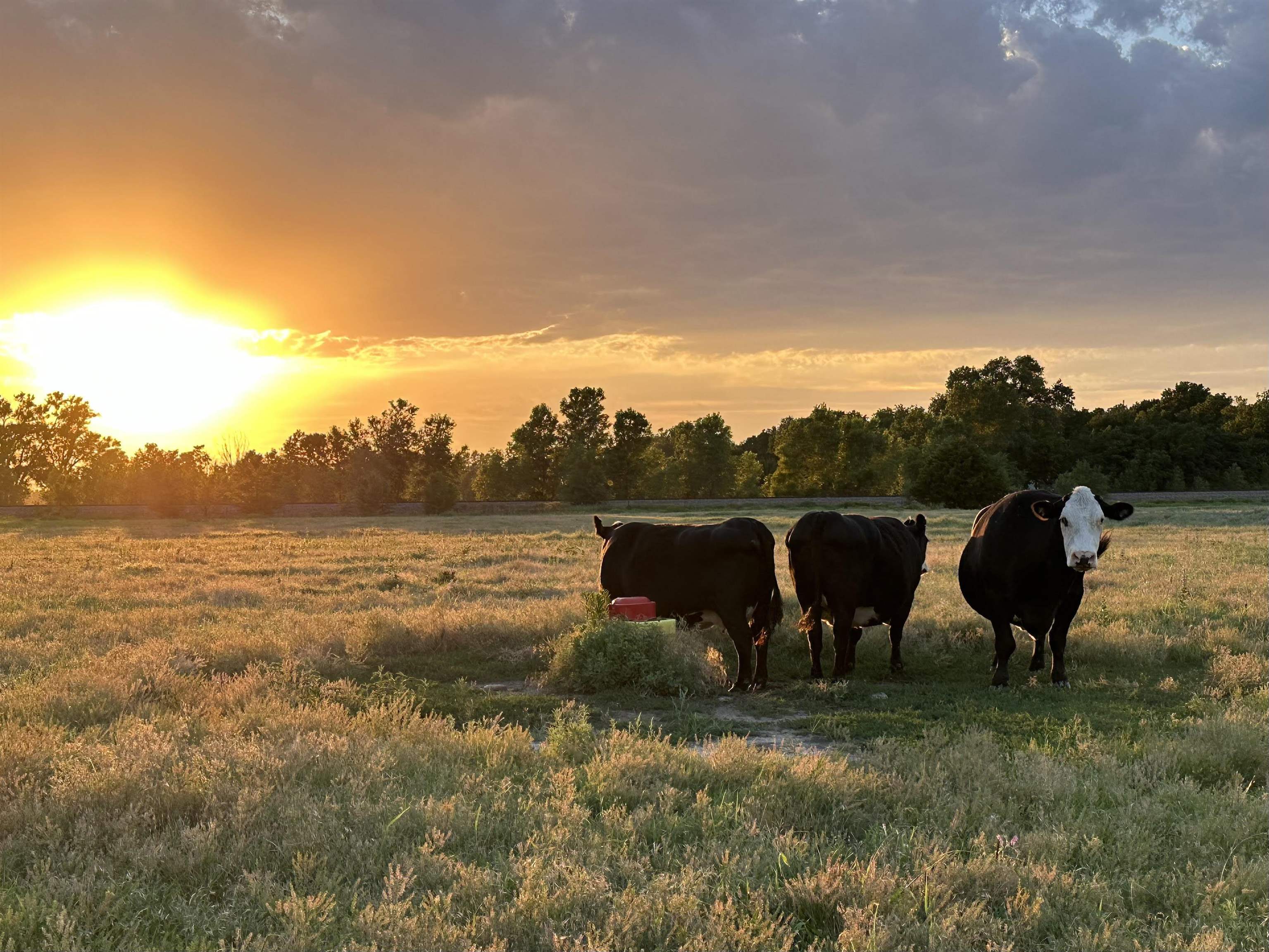 1222 E 110th Belle Plaine KS 67013