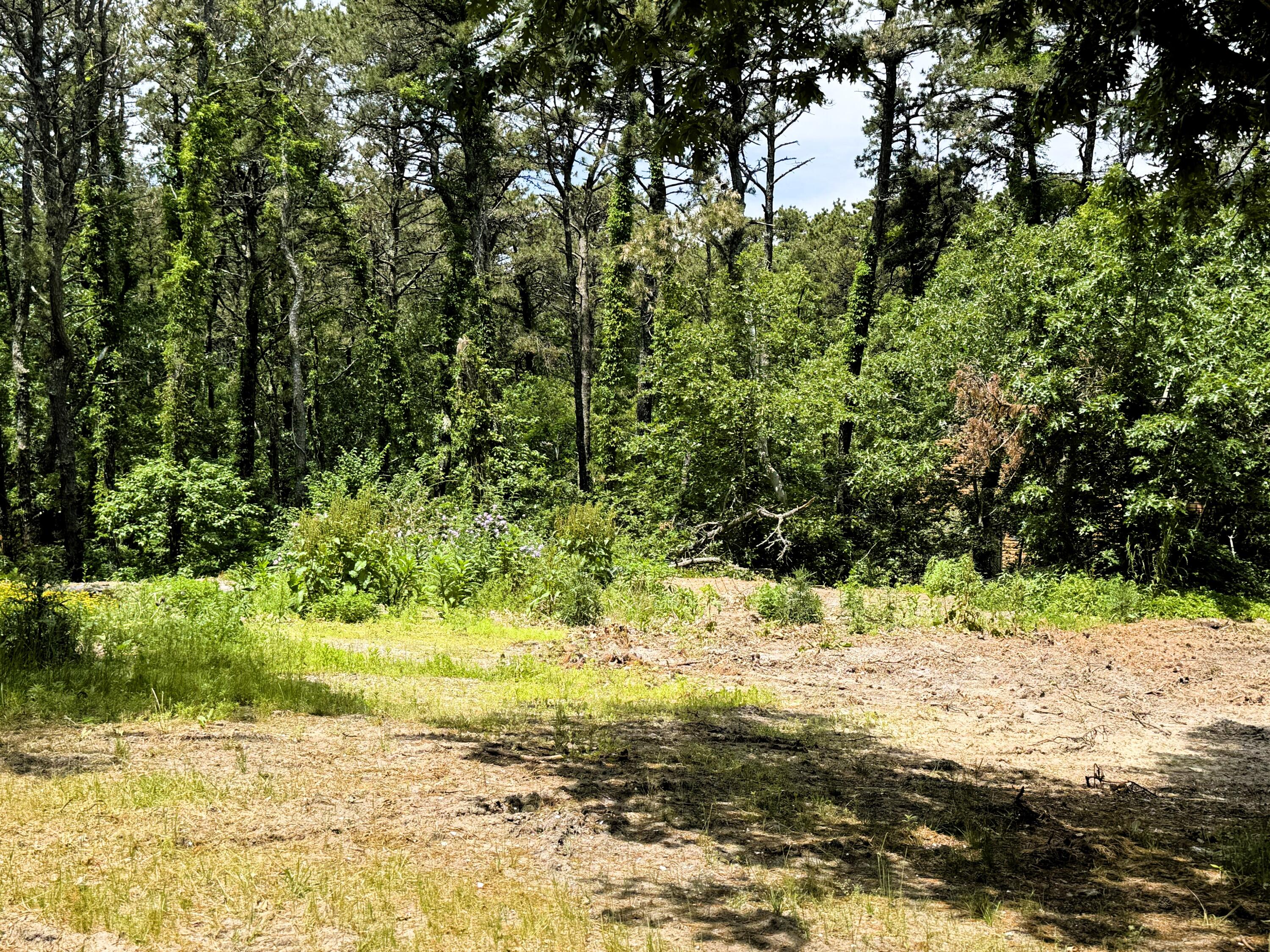 531 Old Kings Highway Wellfleet MA 02667