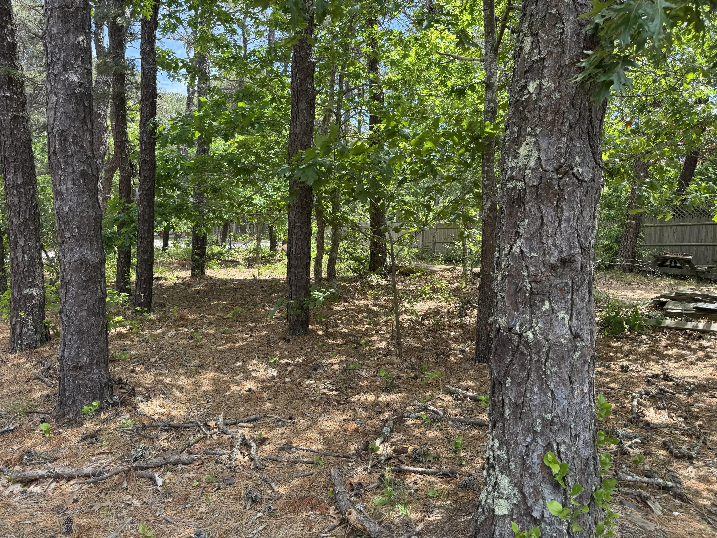 531 Old Kings Highway Wellfleet MA 02667