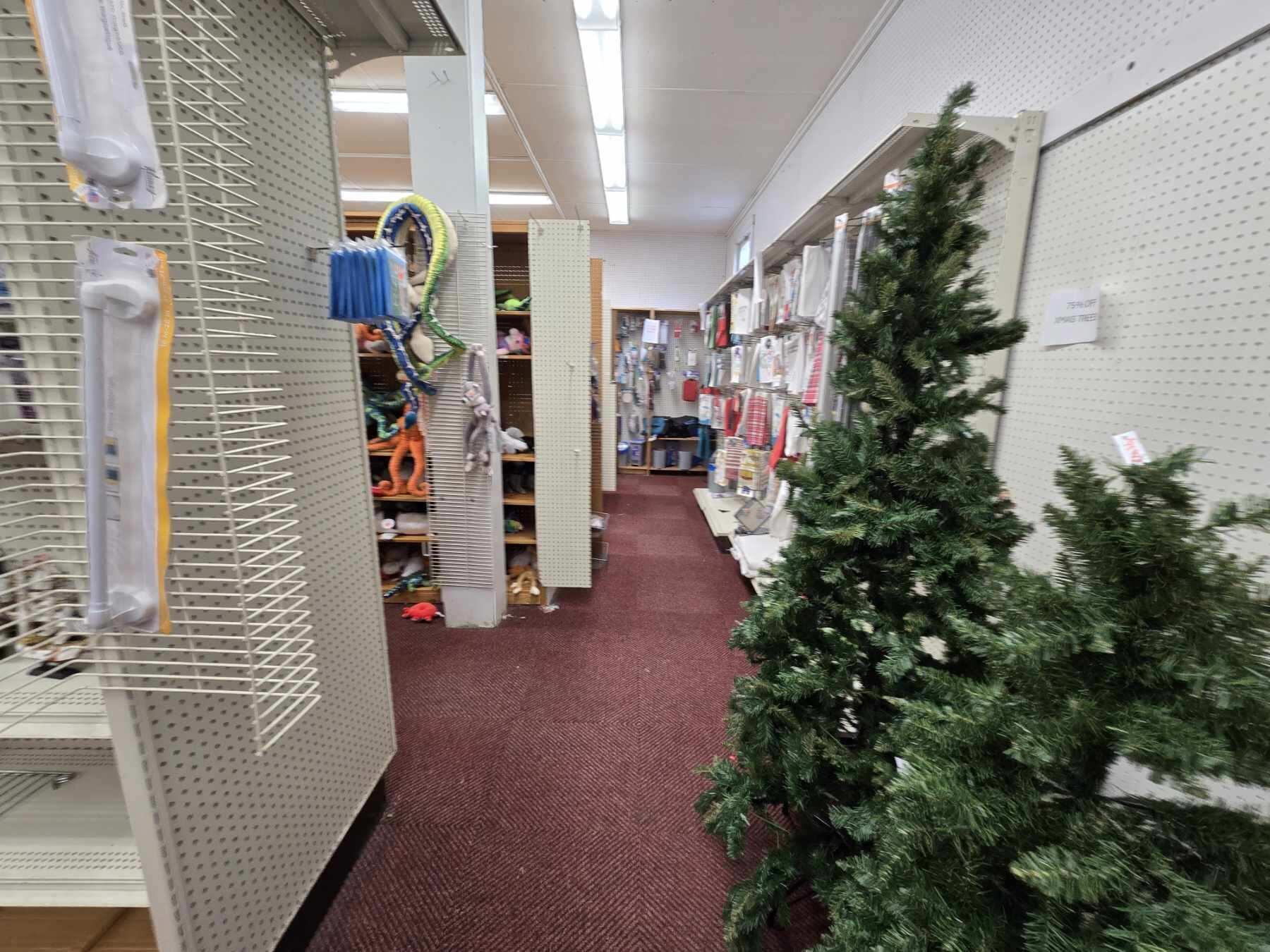 631 Main Street Chatham MA 02633