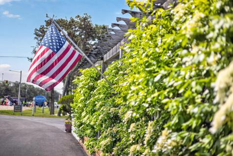 1019 Us-6 Wellfleet MA 02667