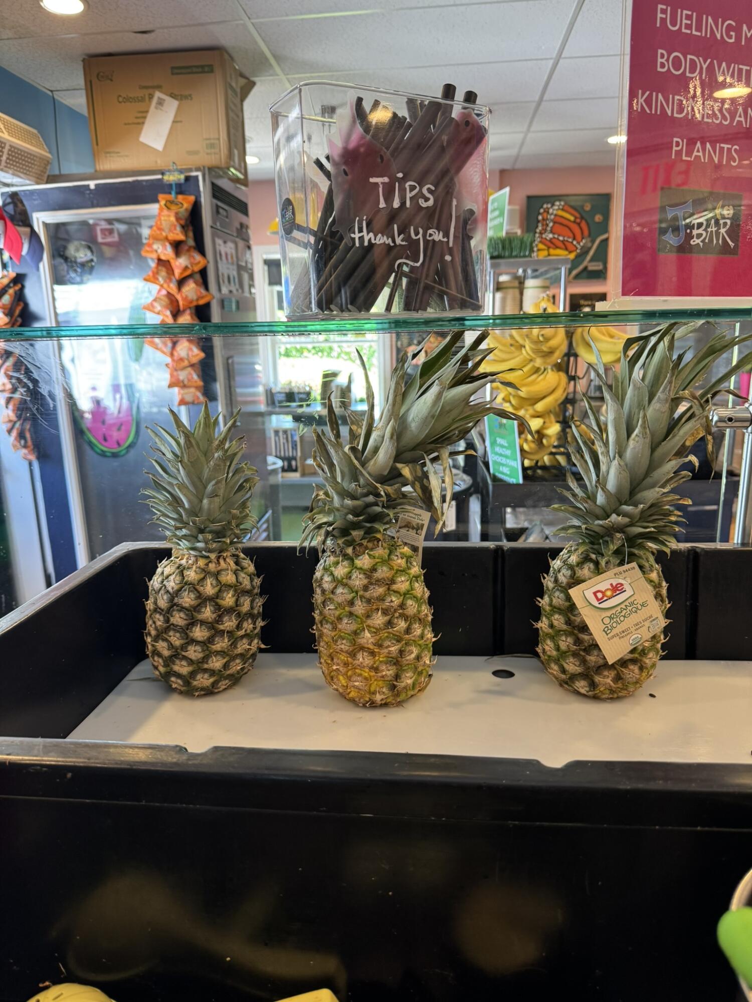 537 Ma-28 Harwich MA 02646