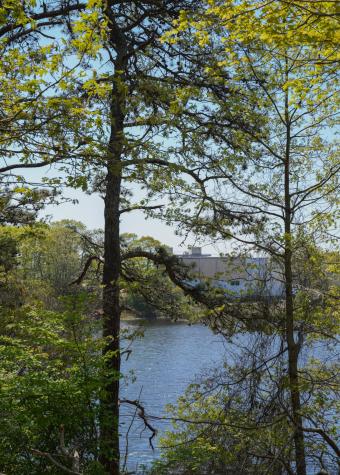 765 Attucks Lane Barnstable MA 02601