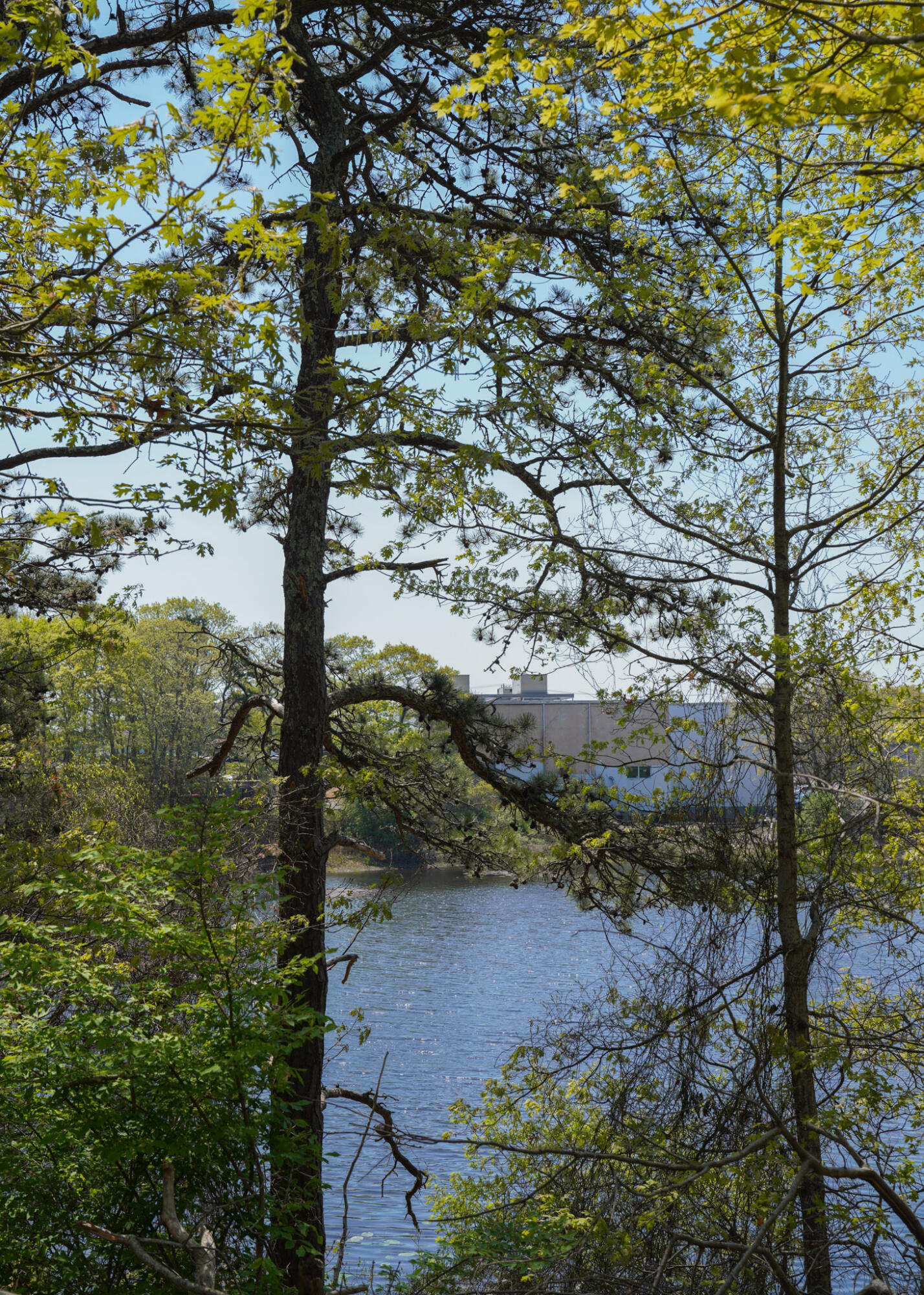 765 Attucks Lane Barnstable MA 02601