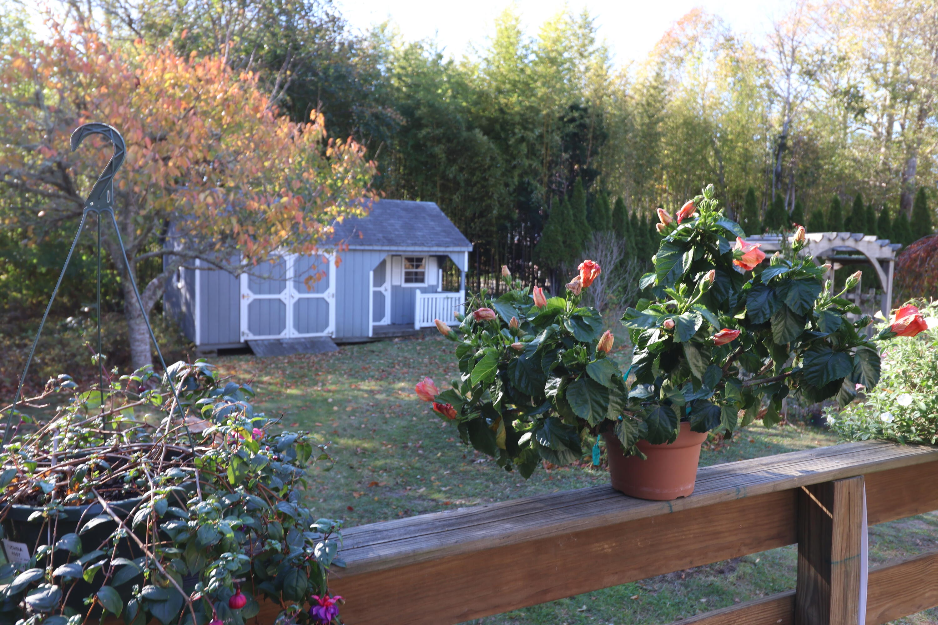 467 Main Street Dennis MA 02670