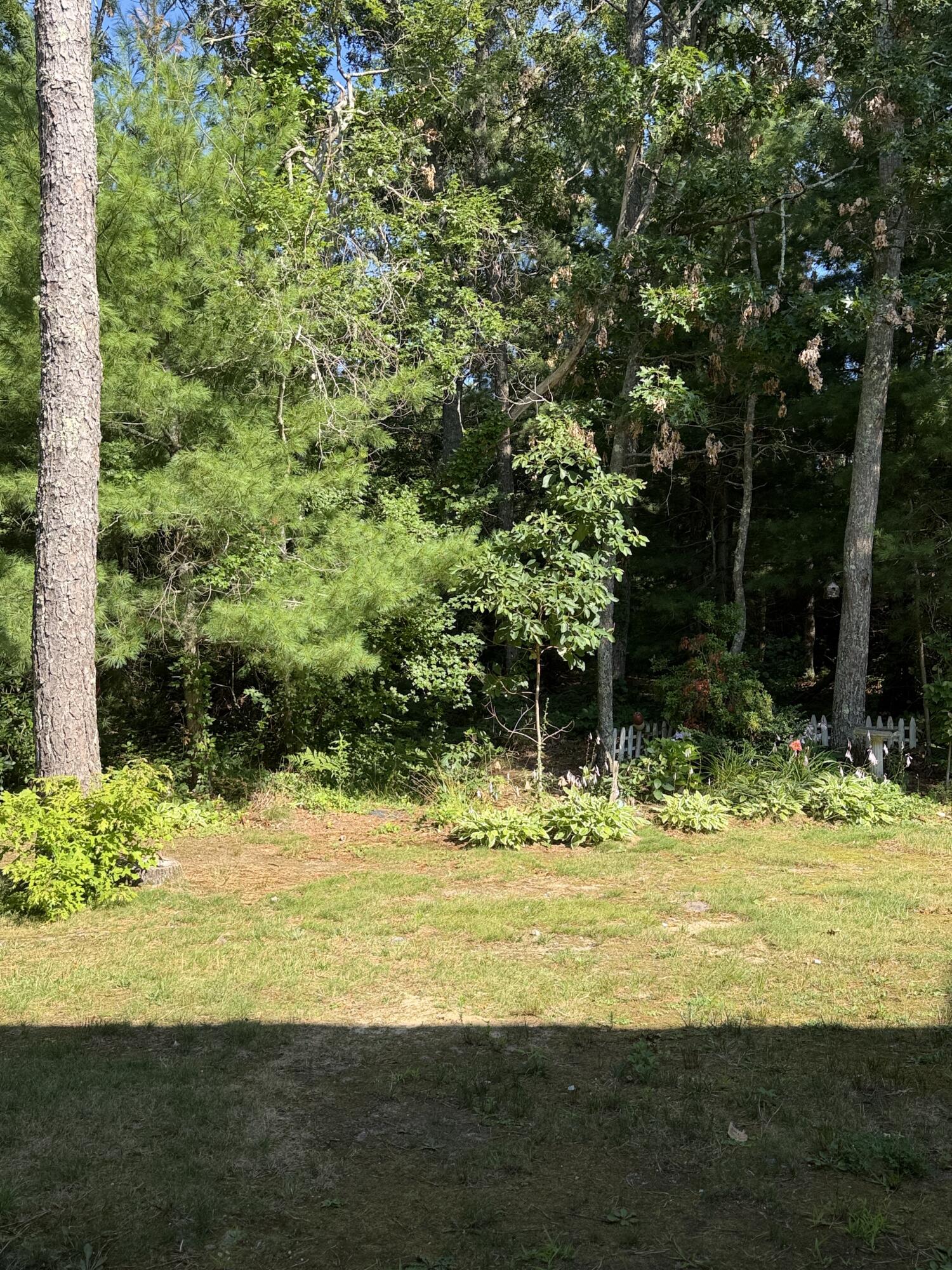 300 Falmouth Road Mashpee MA 02649