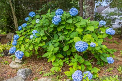 30 Windsor Point Mashpee MA 02649