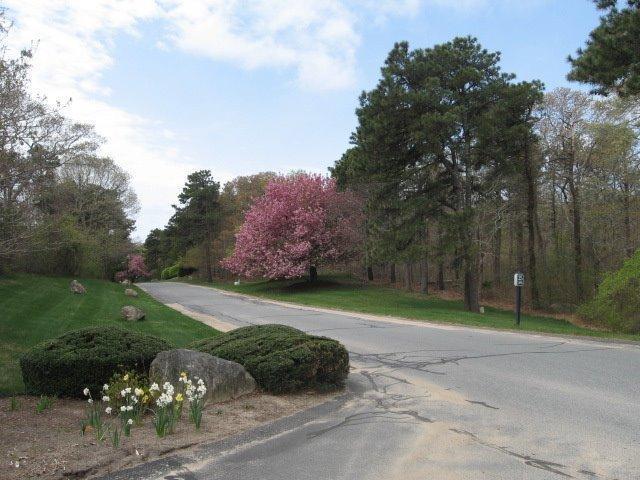 35 Chestnut Circle Brewster MA 02631