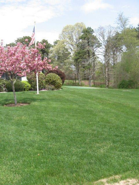 35 Chestnut Circle Brewster MA 02631