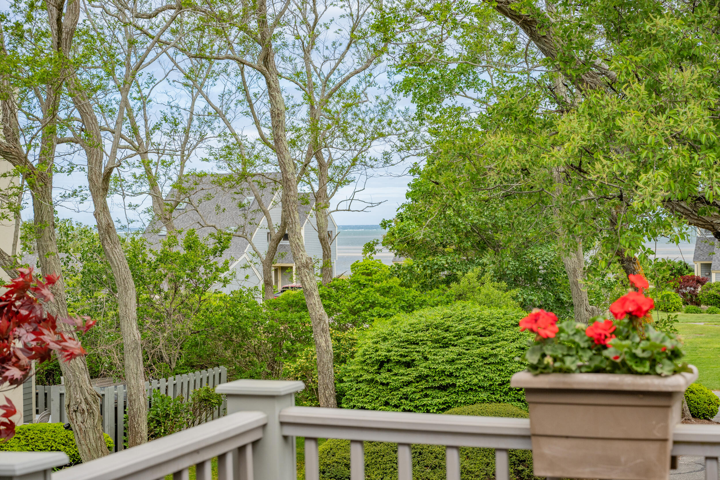 11 Overlook Lane Brewster MA 02631