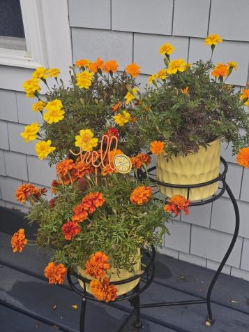 292 Route 28 Harwich MA 02671