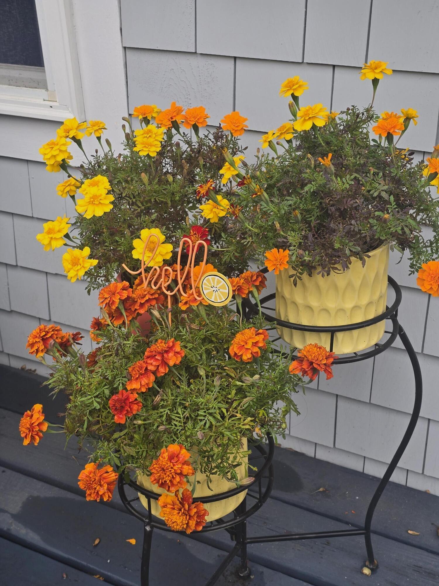 292 Route 28 Harwich MA 02671