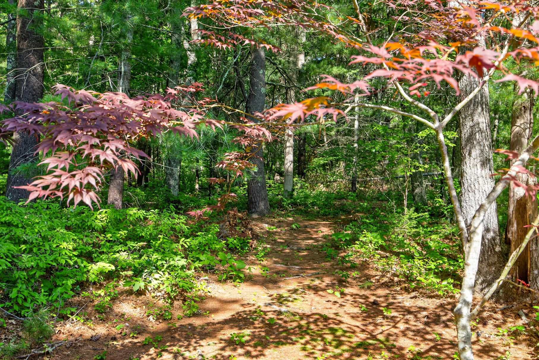 90 Forest Glade Teaticket MA 02536