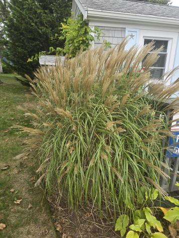 292 Route 28 Harwich MA 02645