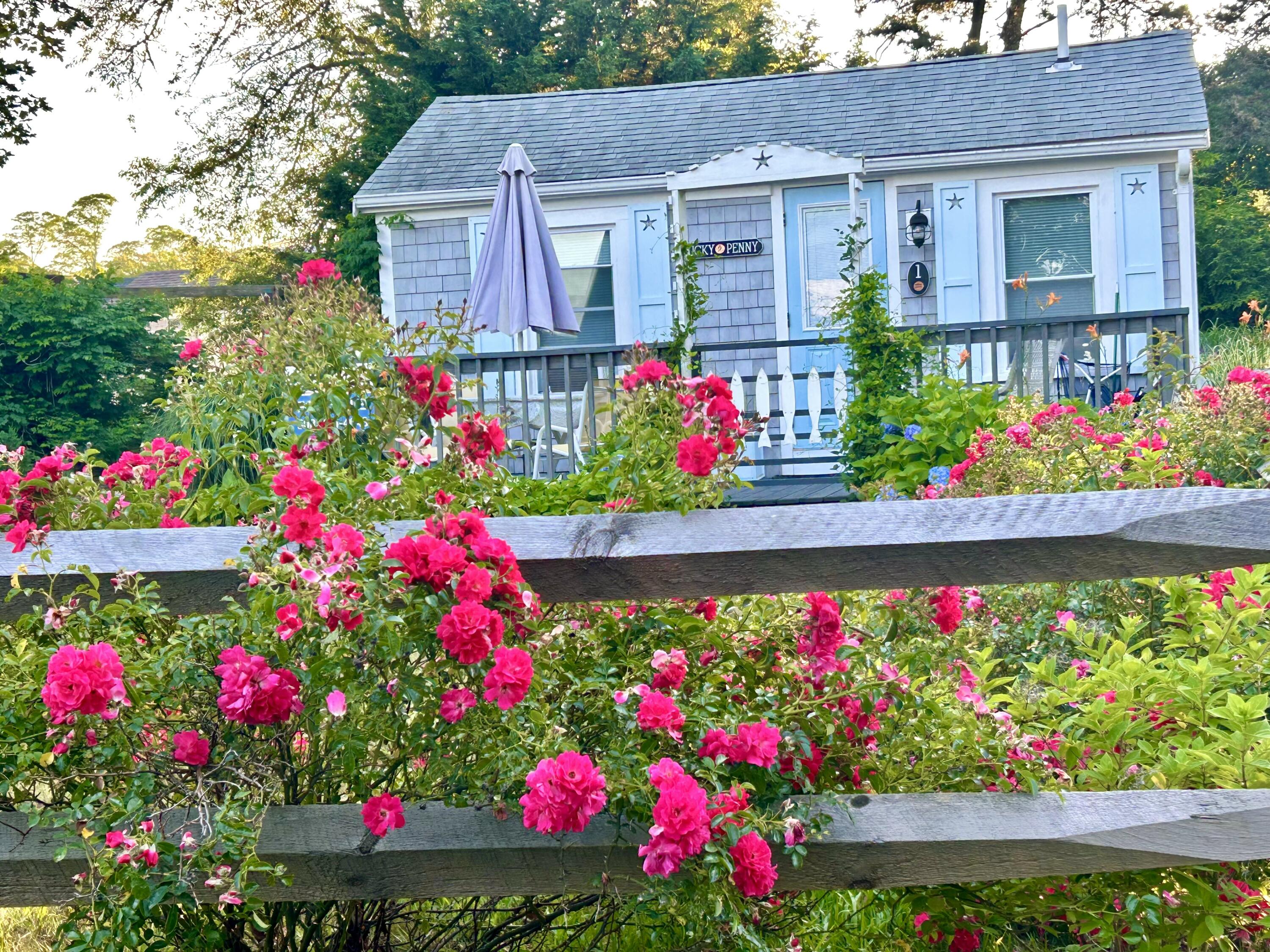 292 Route 28 Harwich MA 02645