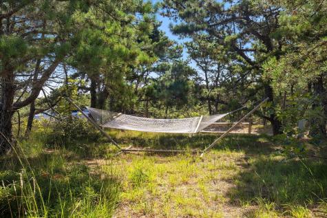 50 Ocean View Drive Wellfleet MA 02667