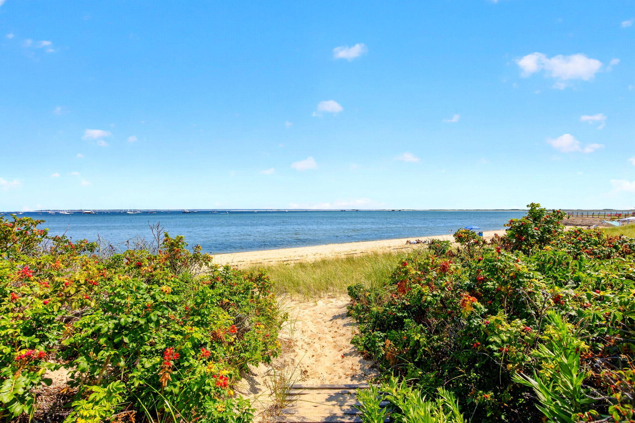 8D Commercial Street Provincetown MA 02657