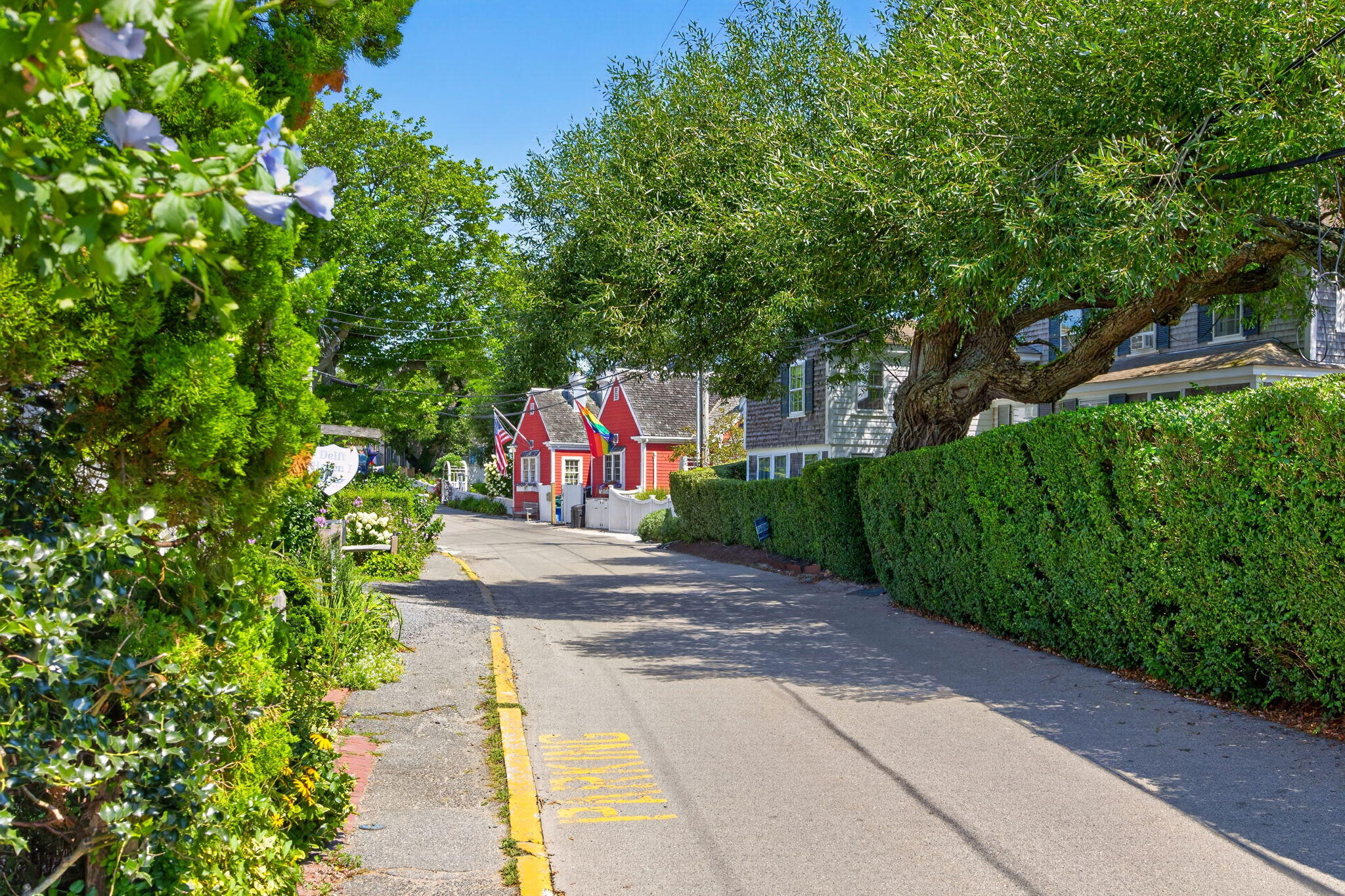 8D Commercial Street Provincetown MA 02657