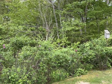481 Buck Island Road Yarmouth MA 02673