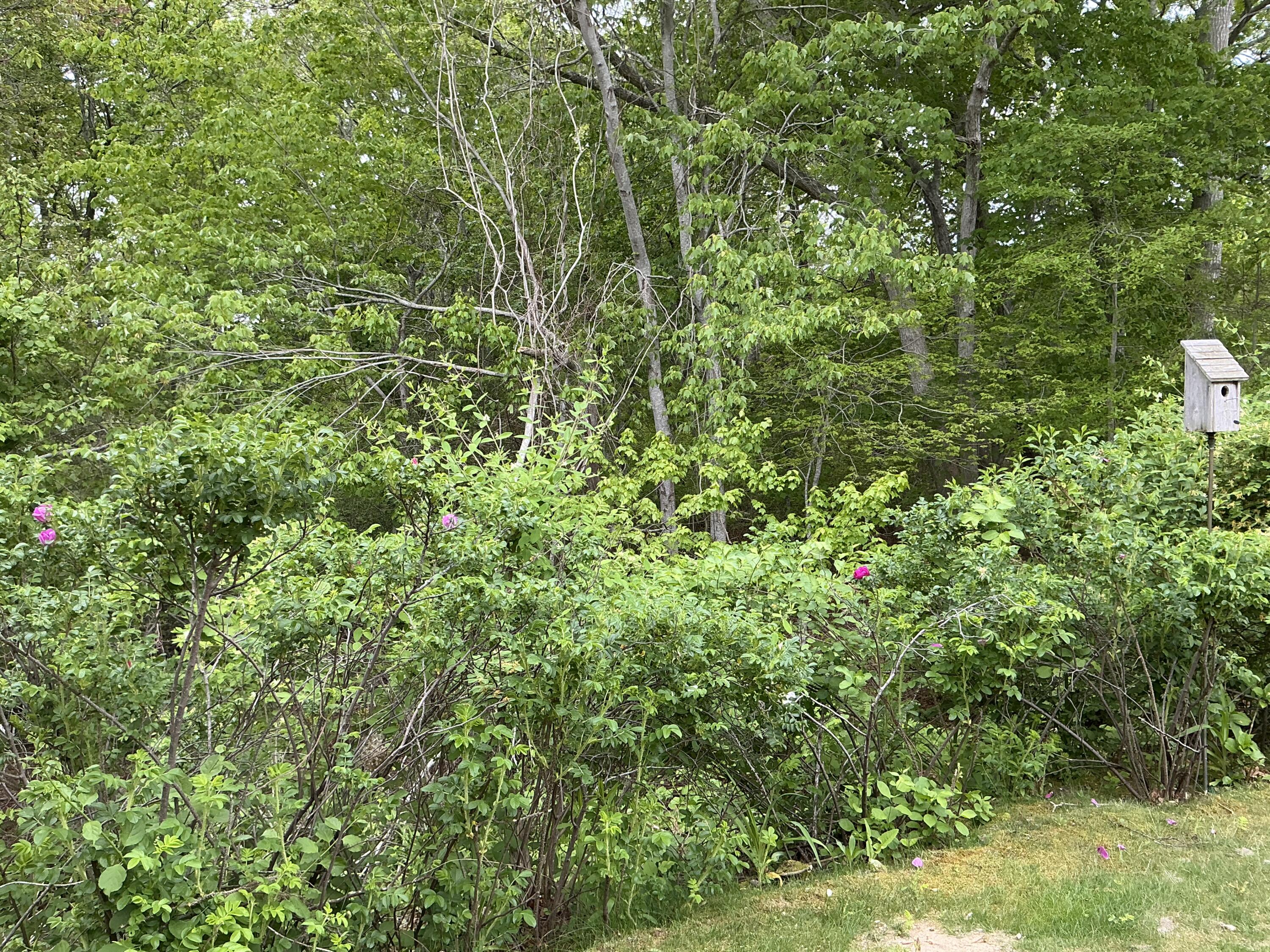 481 Buck Island Road Yarmouth MA 02673